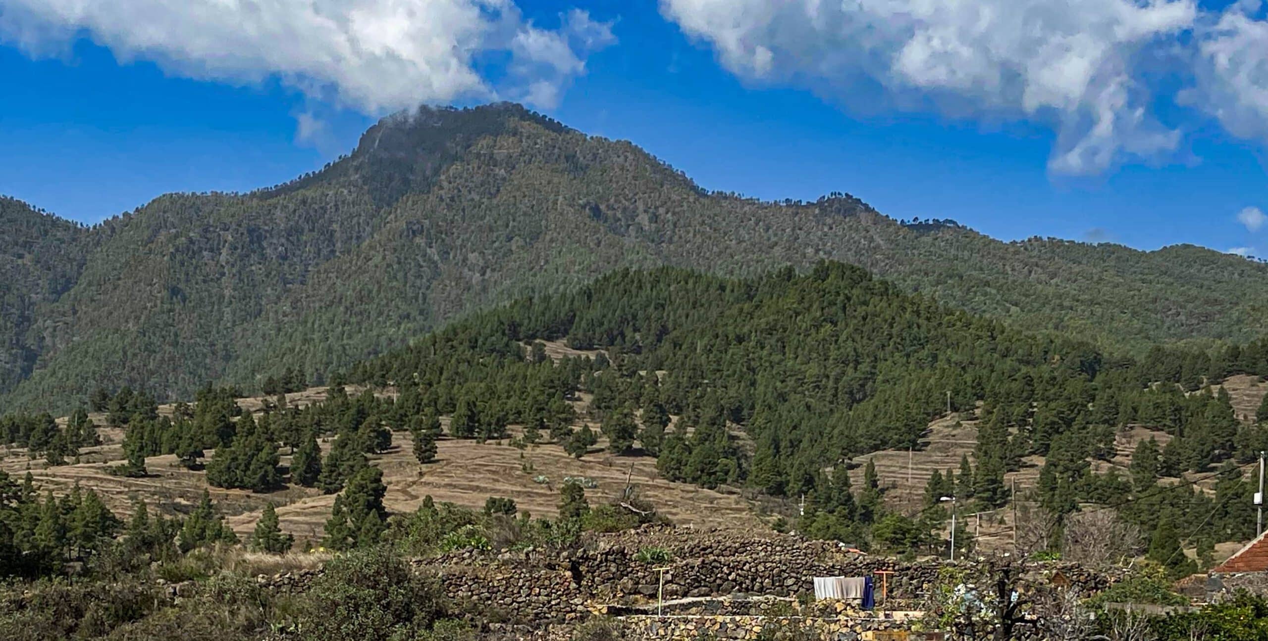 View of the green forested Pico Bejenado from El Paso