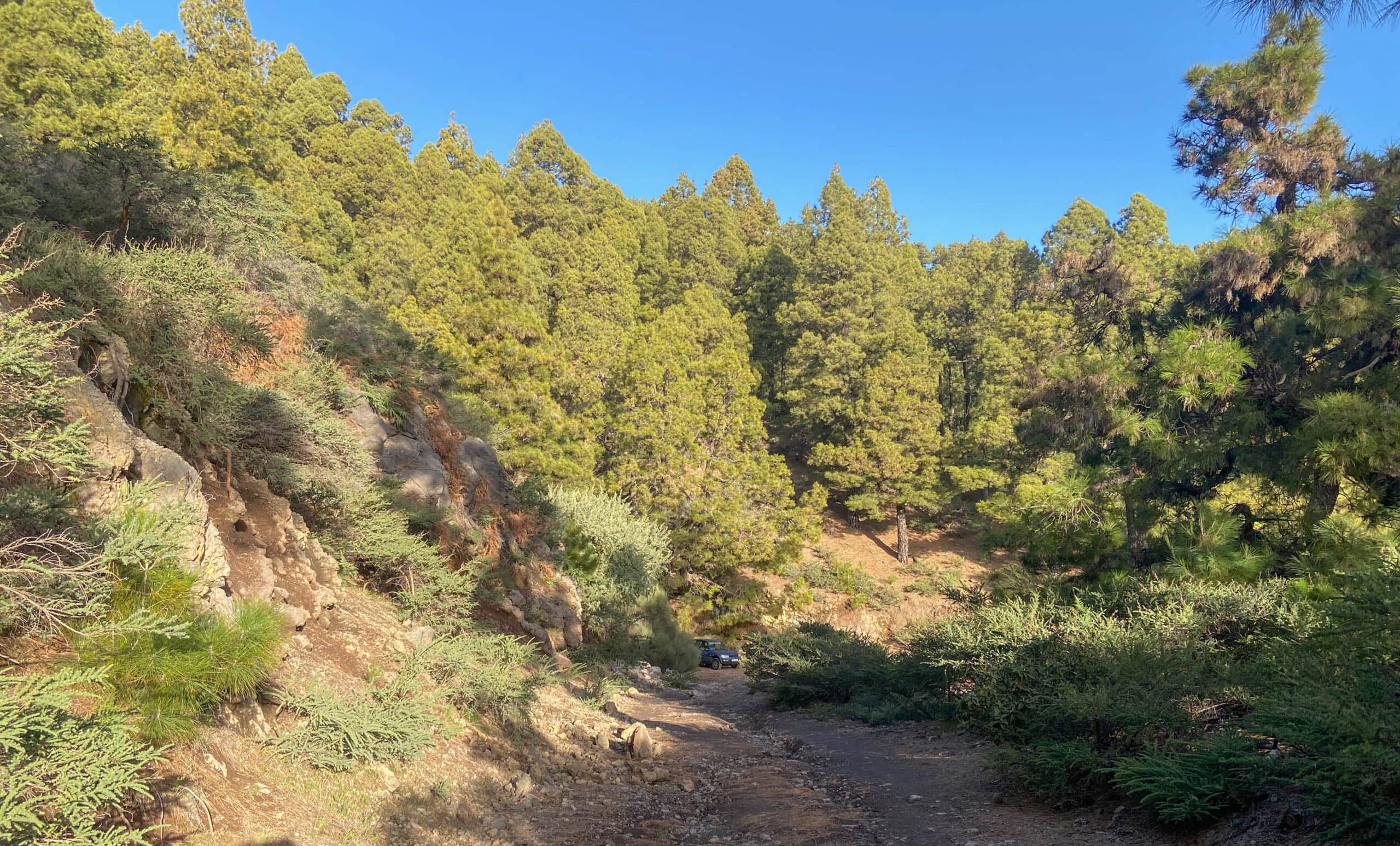 Pista del Nieve road - starting point of the hike