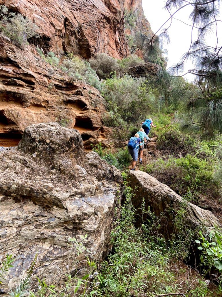 Excursionistas en el camino