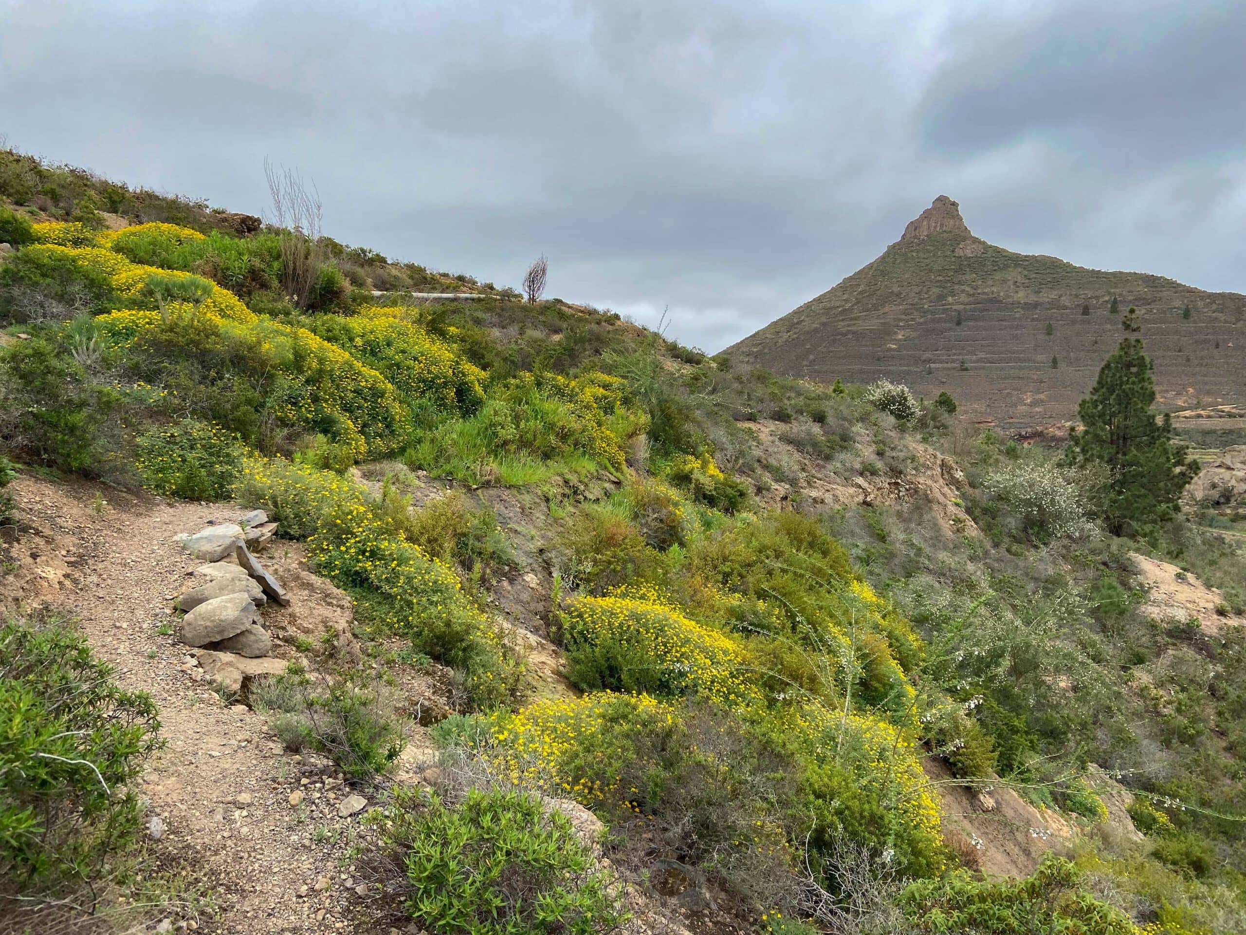 Wanderweg am Barranco del Rey und Blick zurück zum Roque Imoque