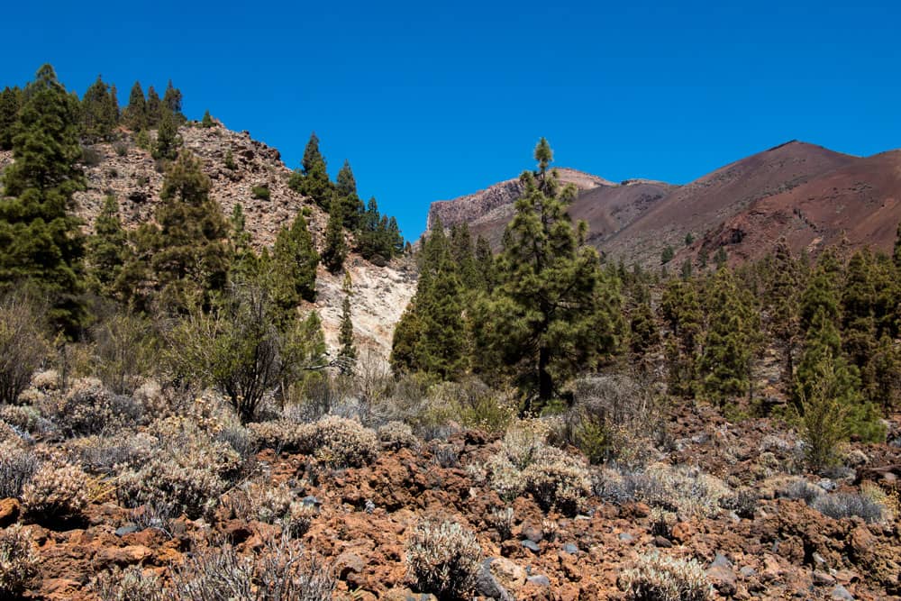 Vista de la parte trasera de las Cañadas con el Guajara