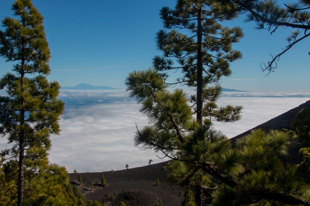 Ruta de los Volcanes - por encima de las nubes con vistas a Tenerife