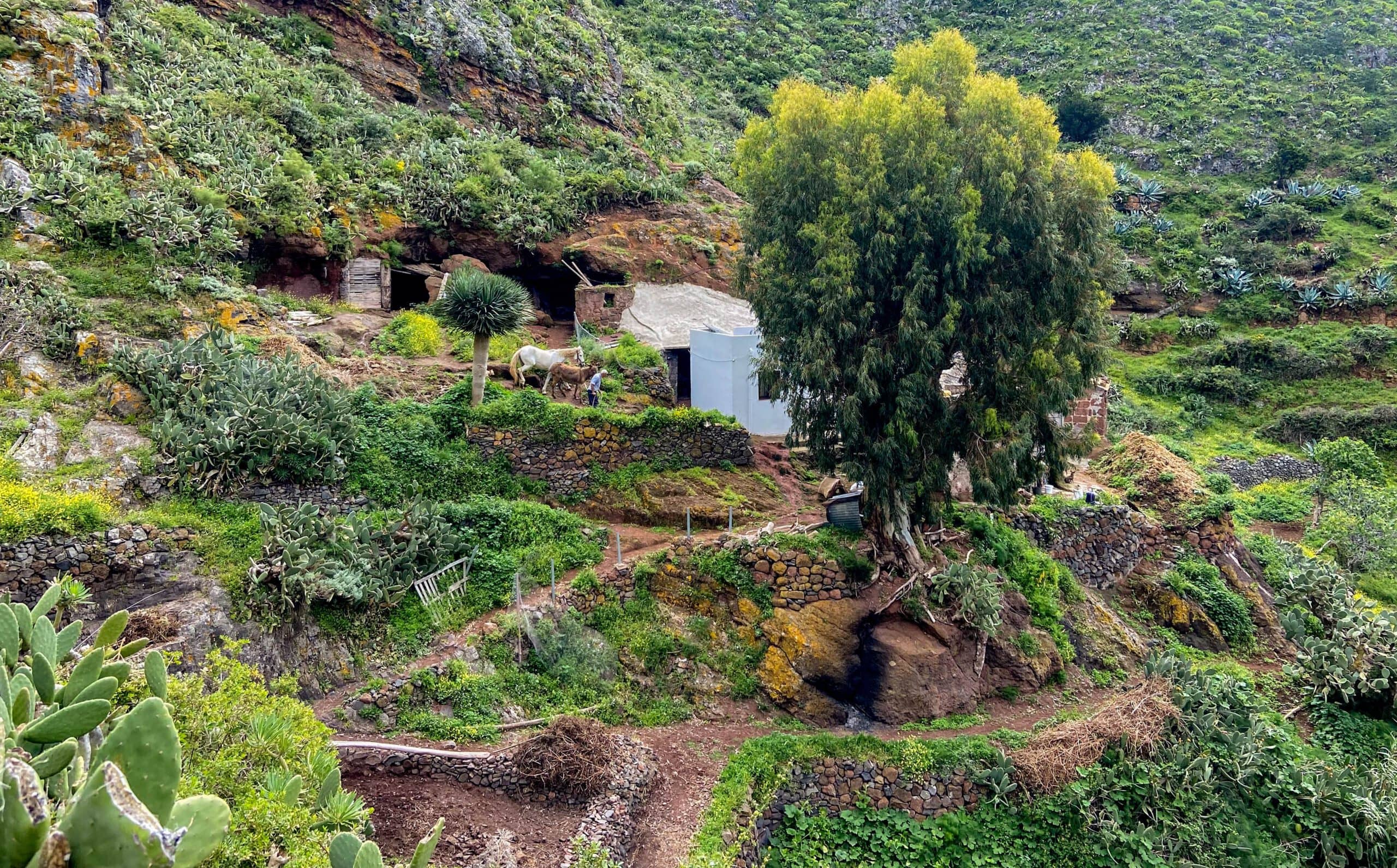 Farm by the wayside - Los Berros