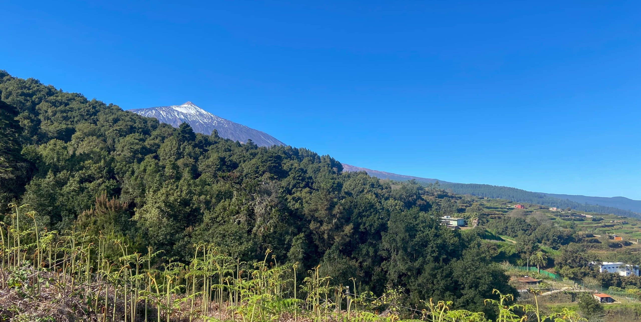 Blick auf den Teide vom Wanderweg oberhalb Mirador Corona