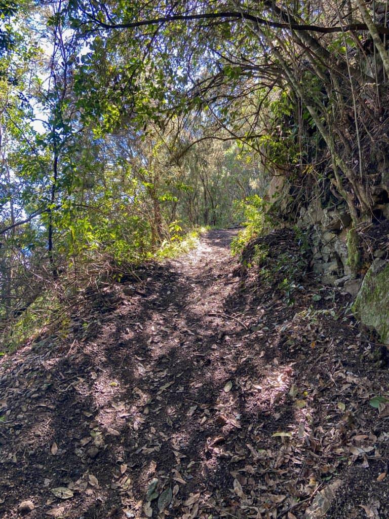 Wanderweg am Hang nach Chanajiga