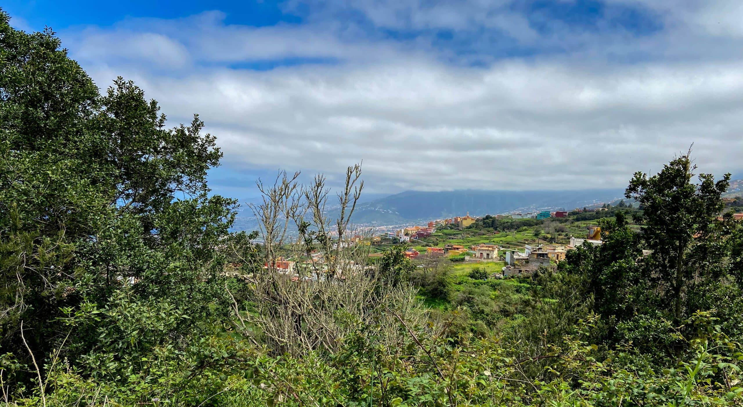 View of Los Realejos from the hiking trail