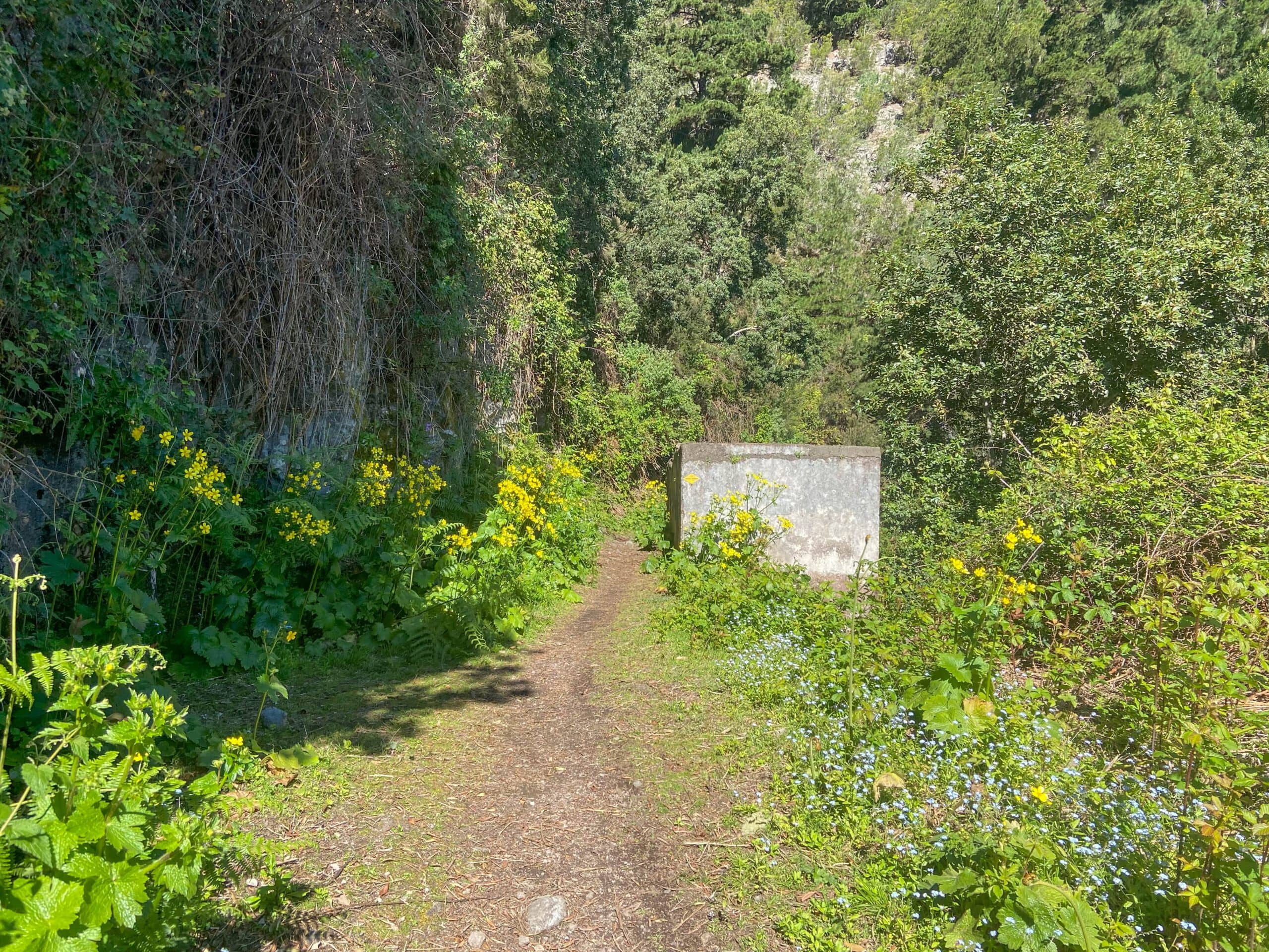 Hiking trail near Chanajiga through the barranco