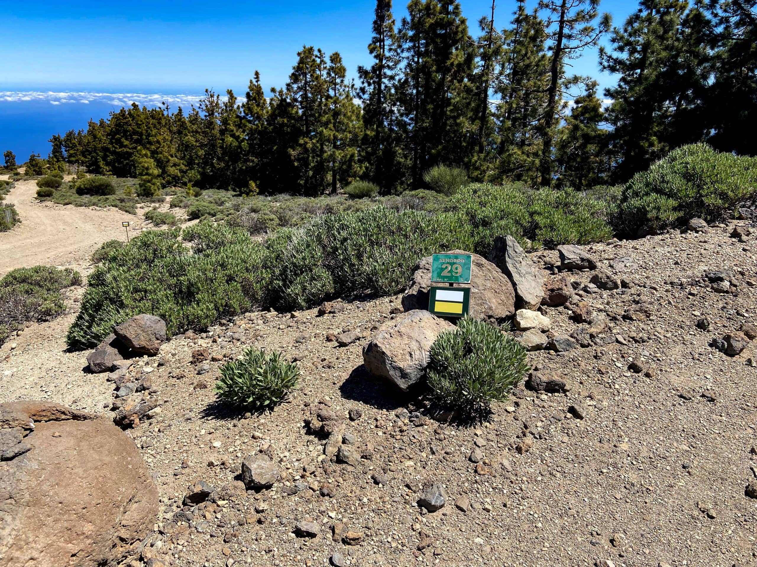 Hiking trail 29 marked yellow white