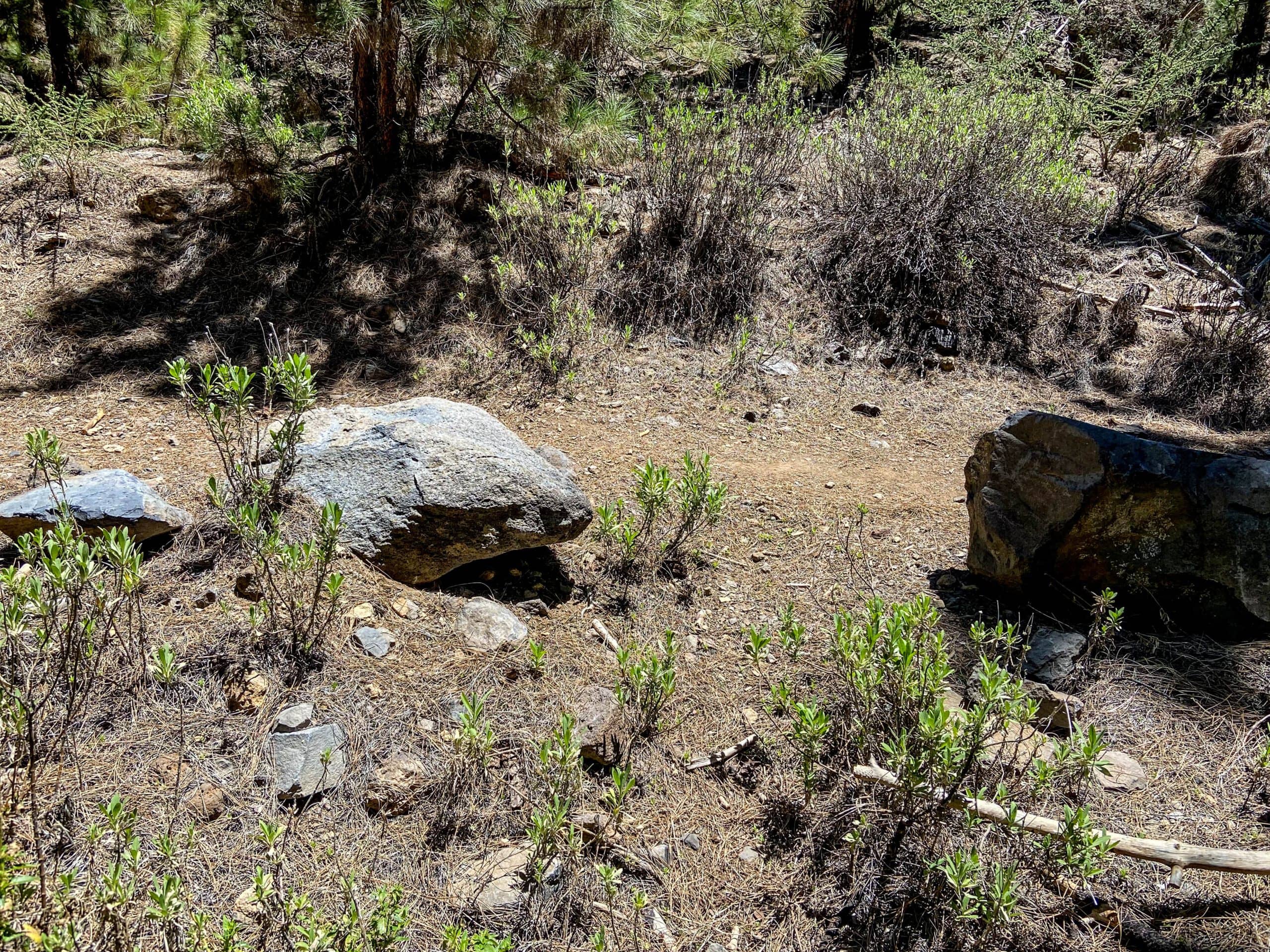 Bifurcación de la ruta de senderismo por el barranco hacia Chanajiga