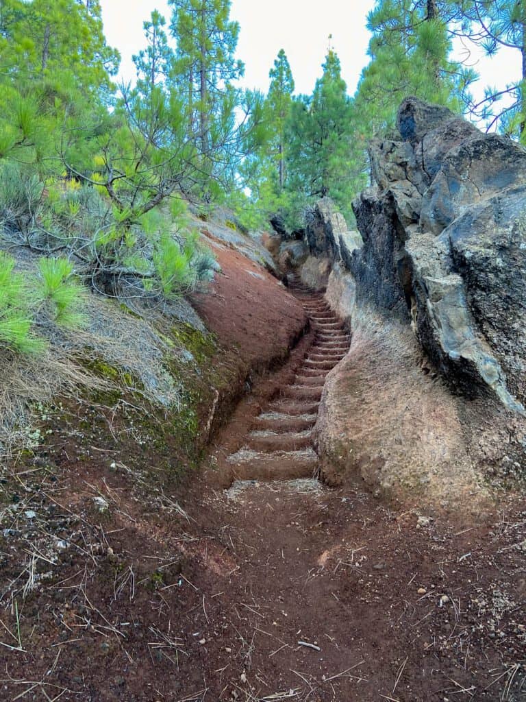 gut mit Stufen befestigter steiler Wanderweg auf dem Grat