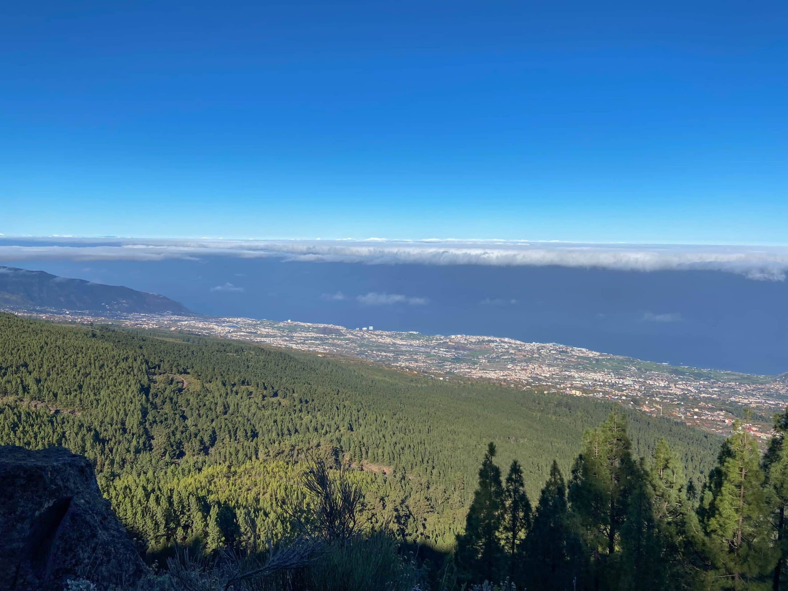 Blick aus der Höhe zurück über die Wälder des Orotava Tals auf die Küste