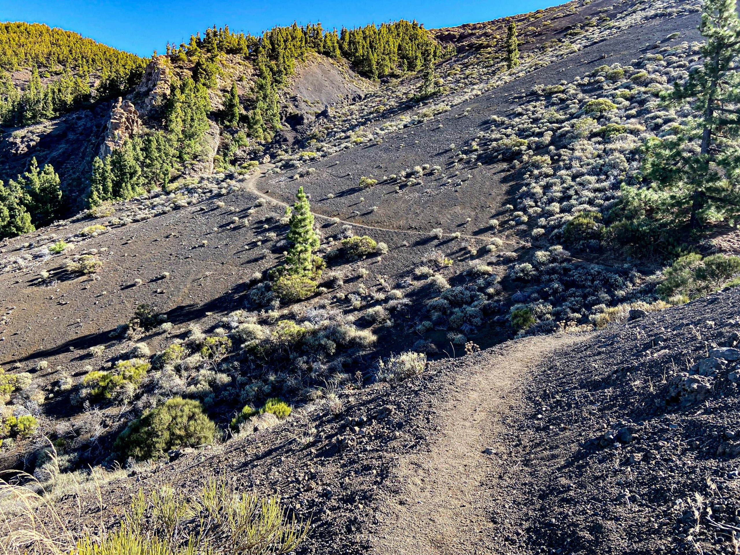Ruta de senderismo por la ladera sobre arena y piedra volcánica