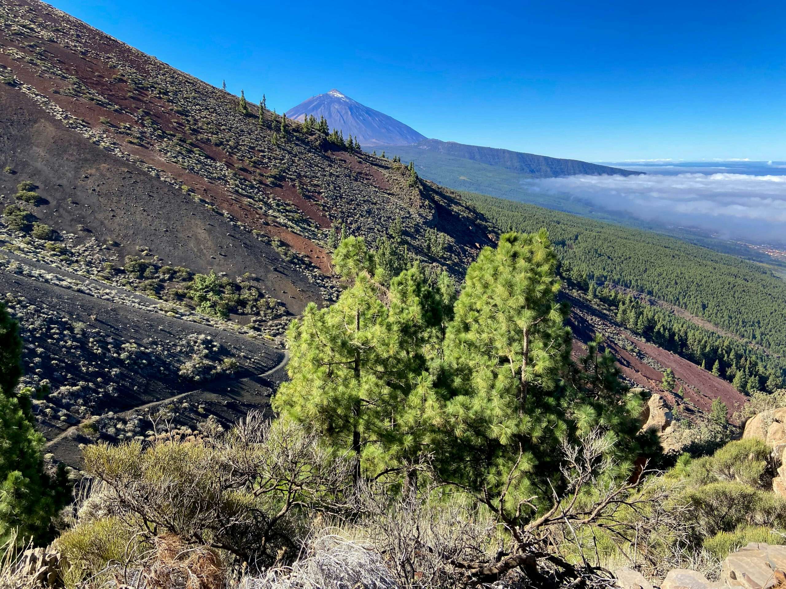 Wanderweg Richtung La Crucita mit Blick auf Teide und den unteren Hangweg