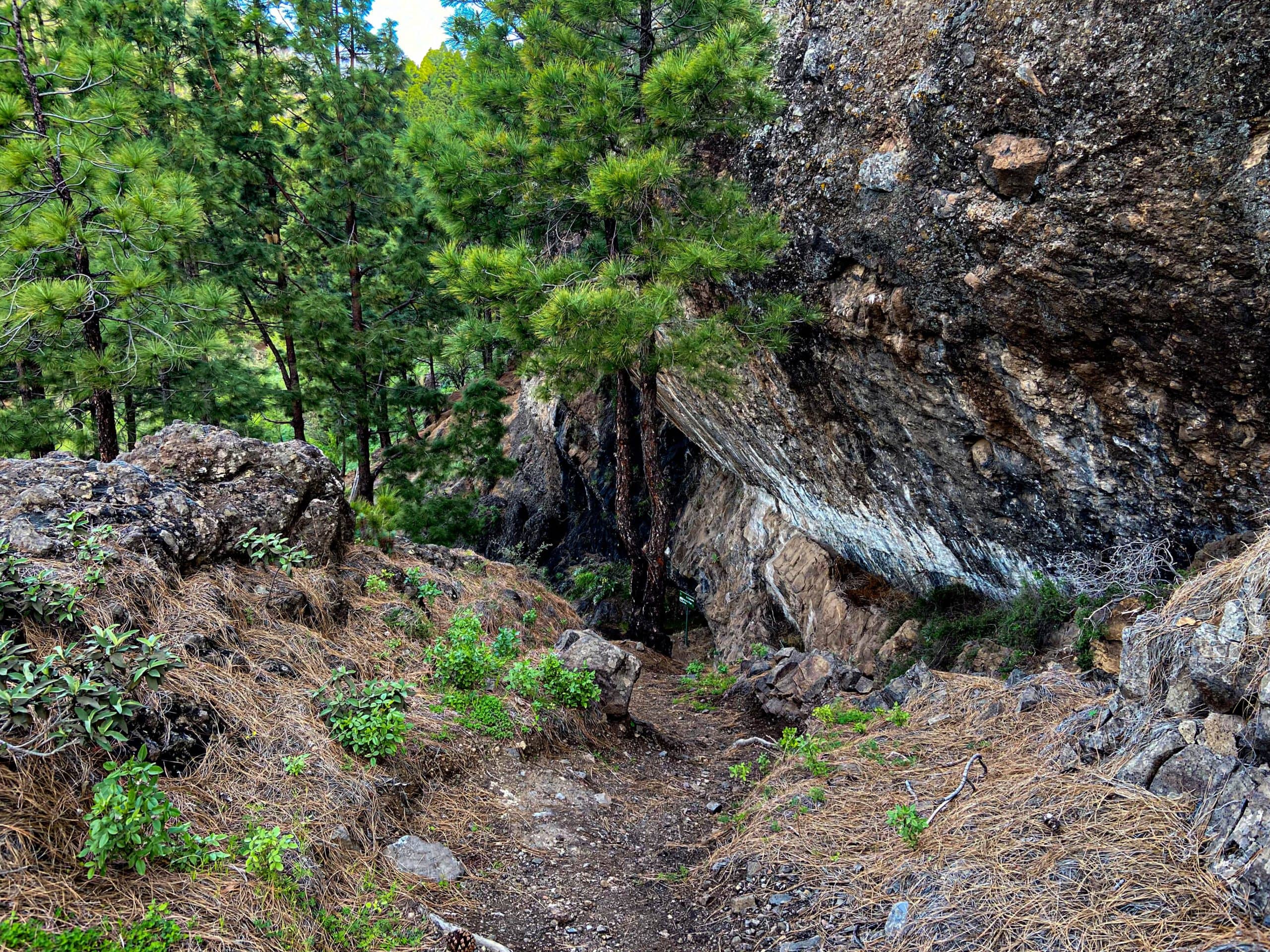 Wanderweg durch Kiefernwälder und entlang von beeindruckenden Felswänden