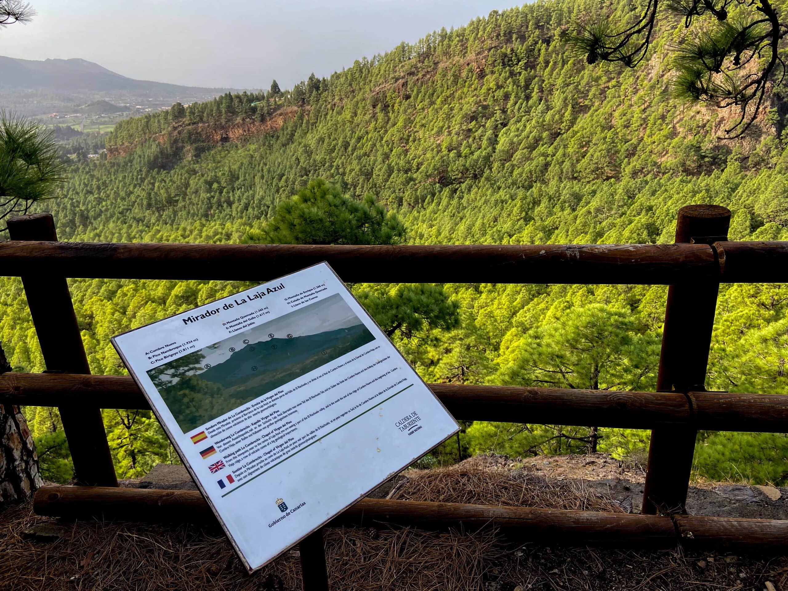 Blick auf die bewaldete Schlucht vom Mirador de La Laja Azul