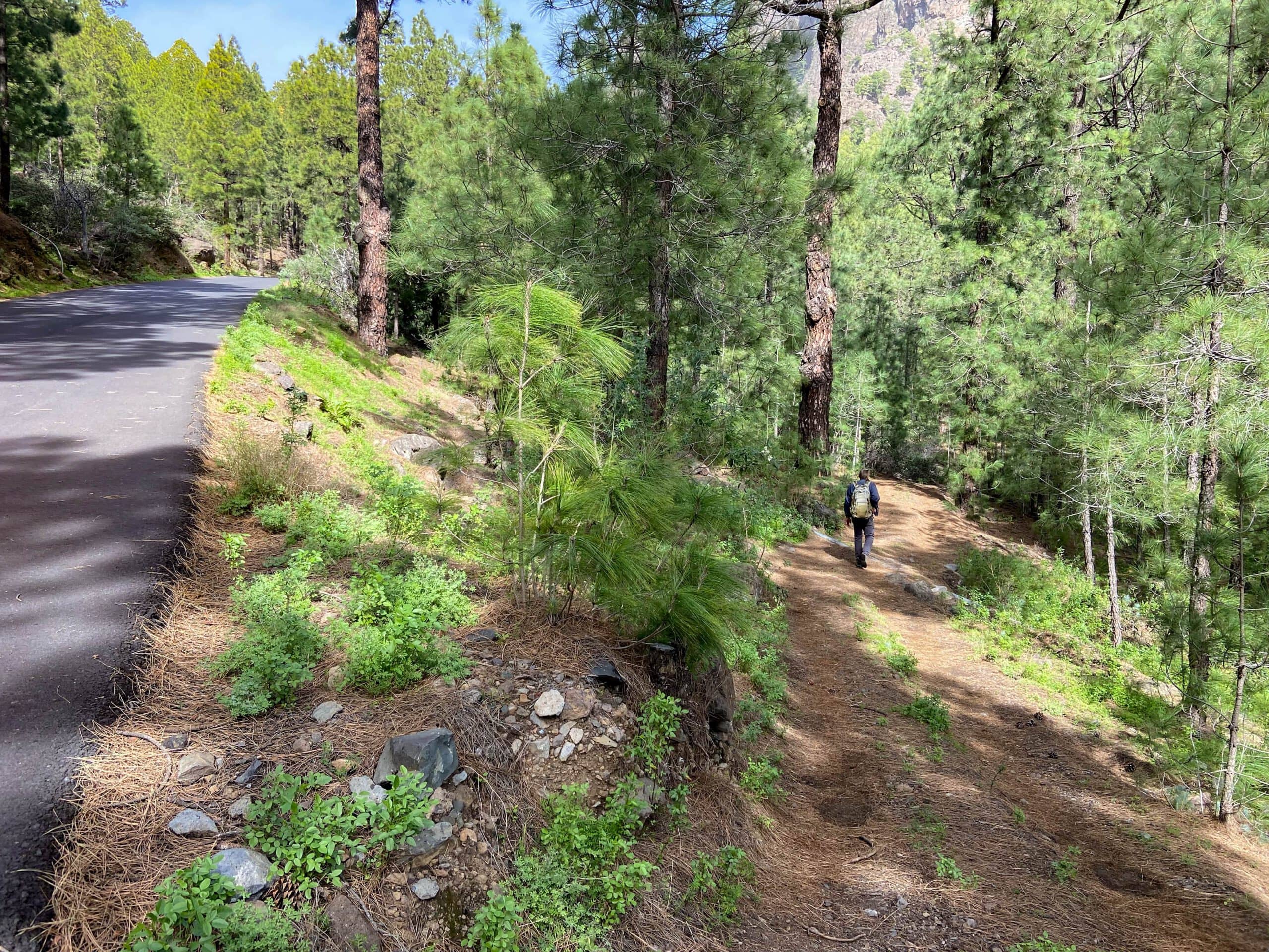 Wanderweg zurück auf der kaum befahrenen Straße - auf dem Bild ist noch nicht der Abzweig zu sehen. Diesen findest du, wenn du weiter der Straße folgst.