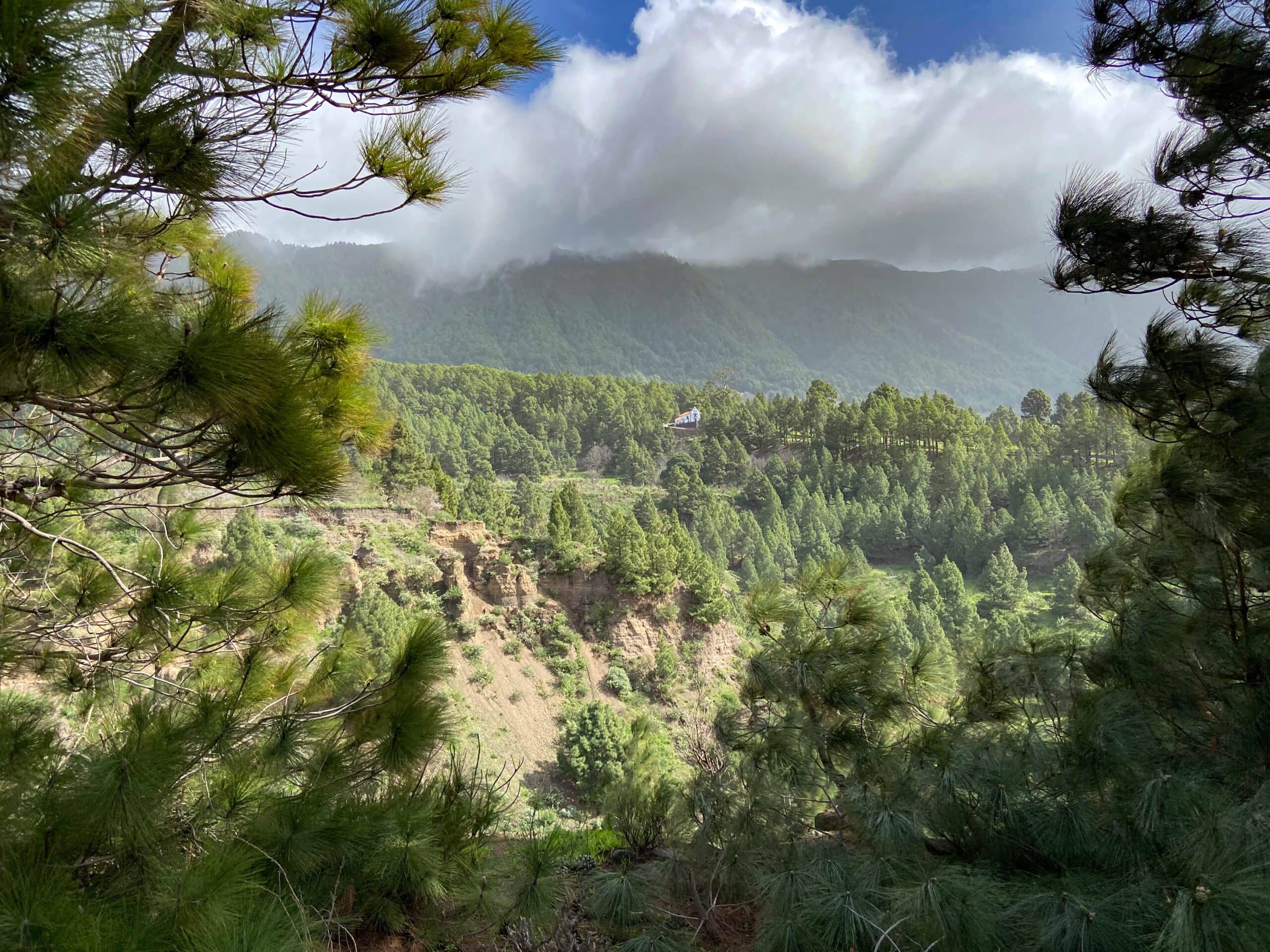 Hiking trail along a small gorge - way back