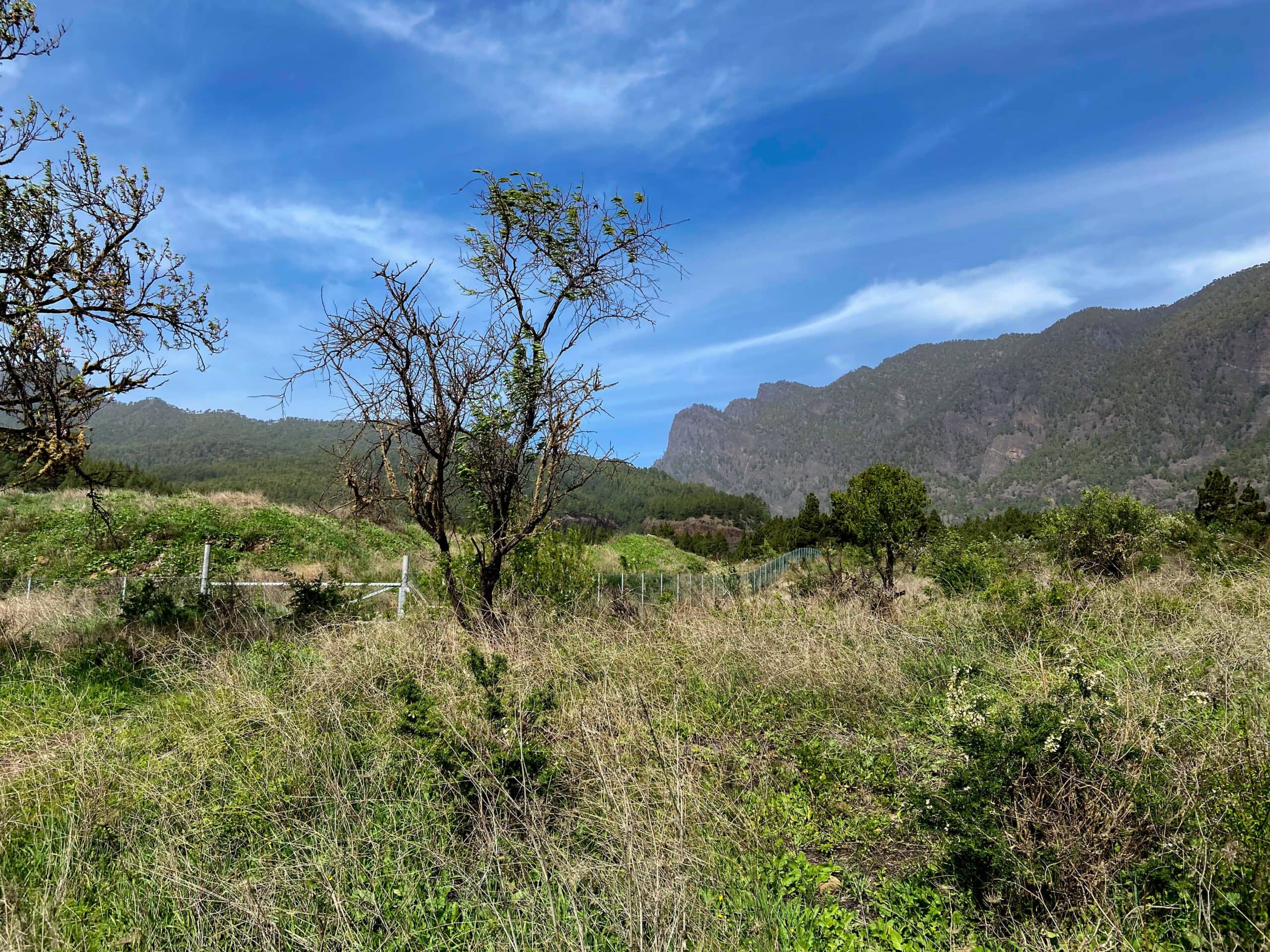 Hiking trail back to the starting point in front of the small church Virgin del Pino