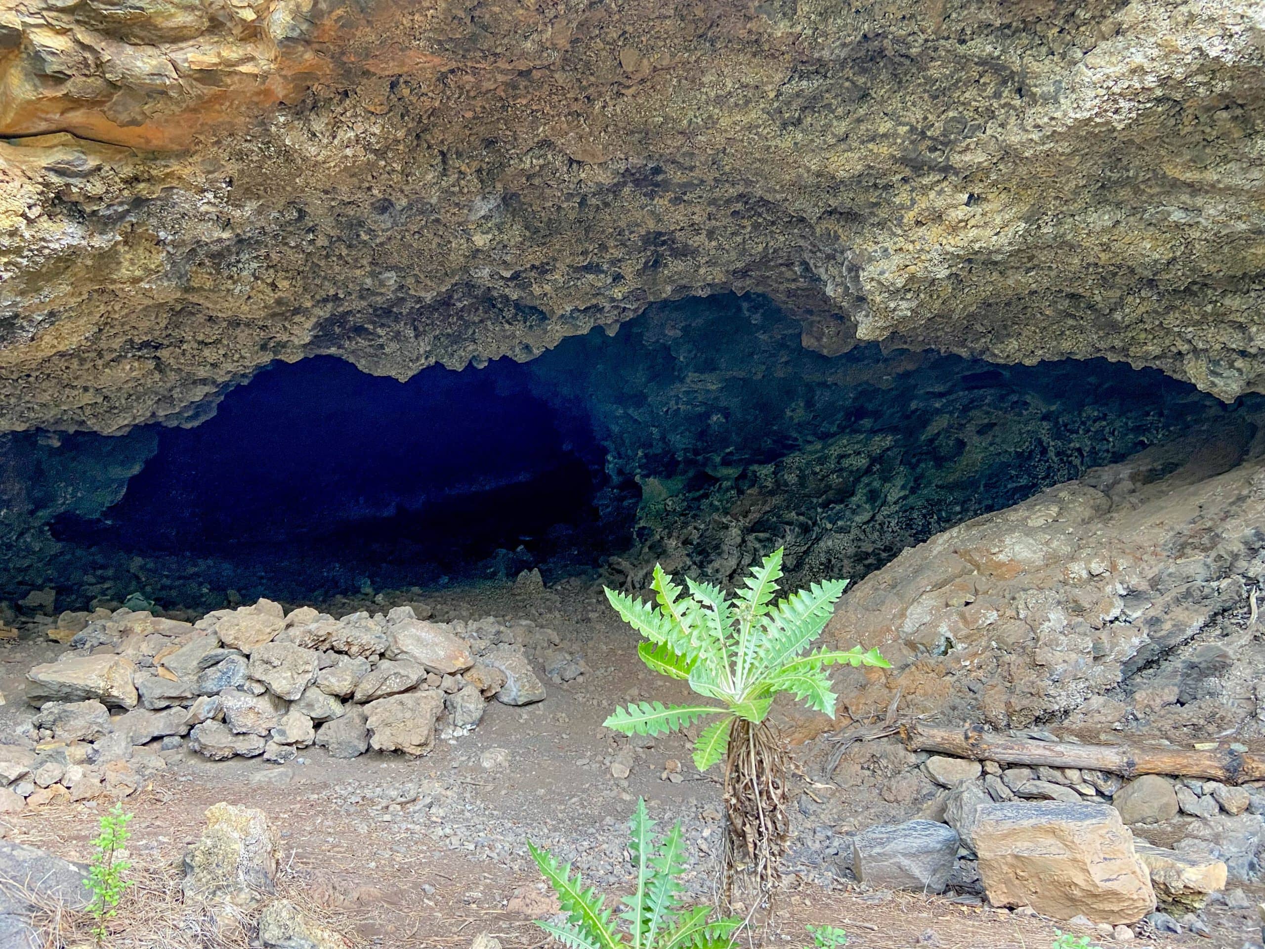 Höhlen in einer Schlucht am Wegesrand