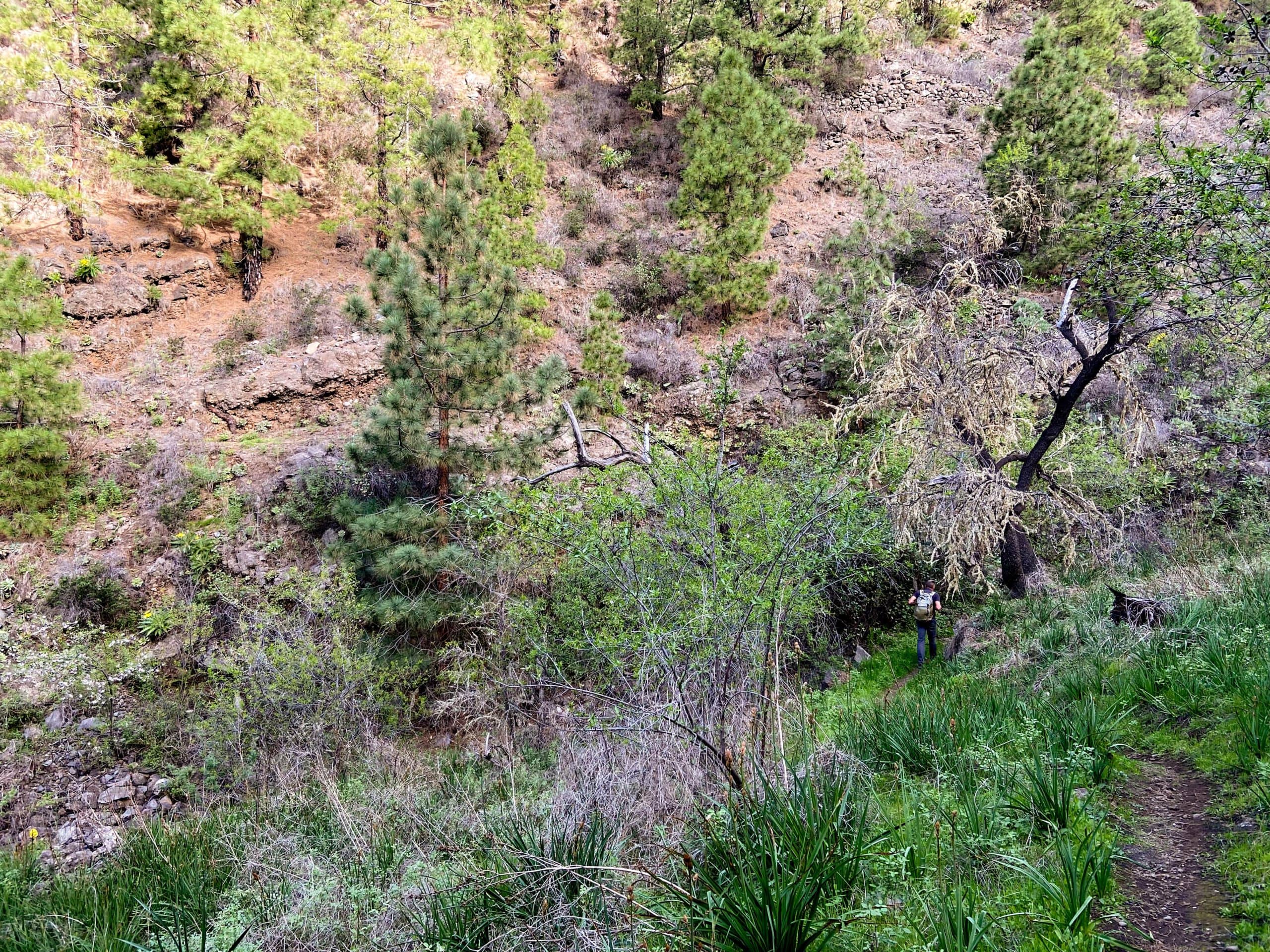 Wanderweg durch einige grüne Schluchten