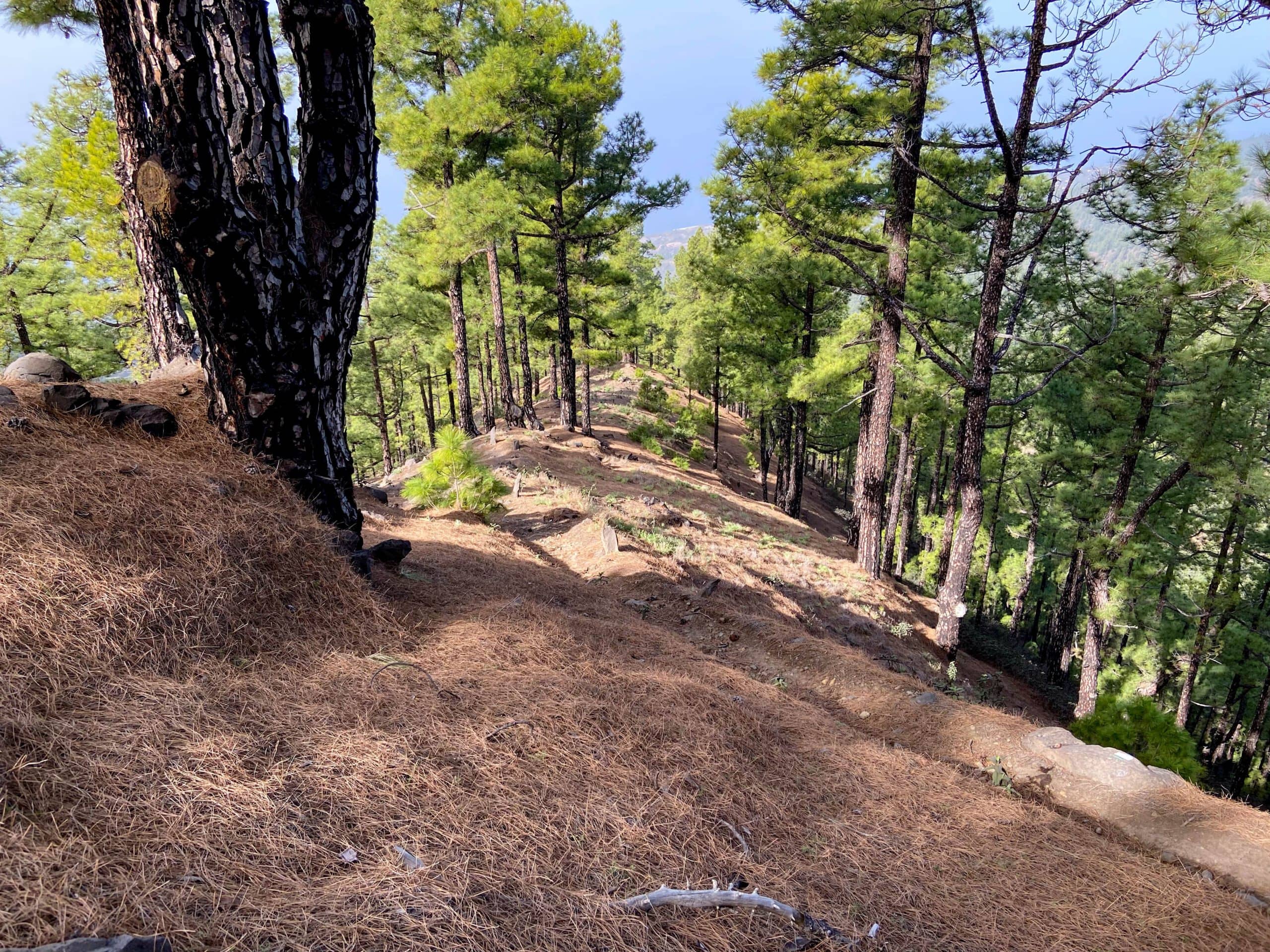 Camino de ascenso empinado a través del bosque hacia el borde de la caldera