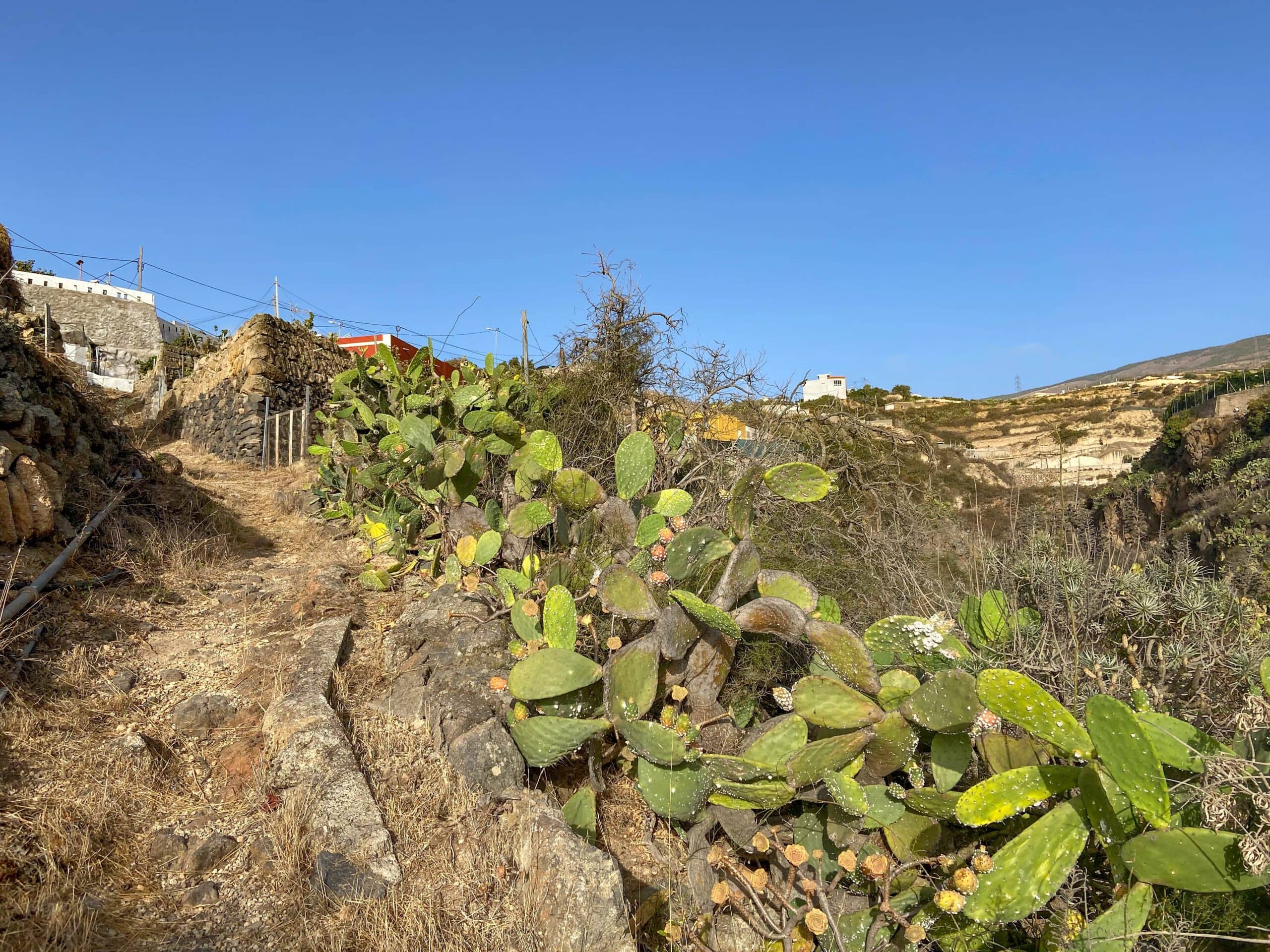 Hiking trail near La Zarza