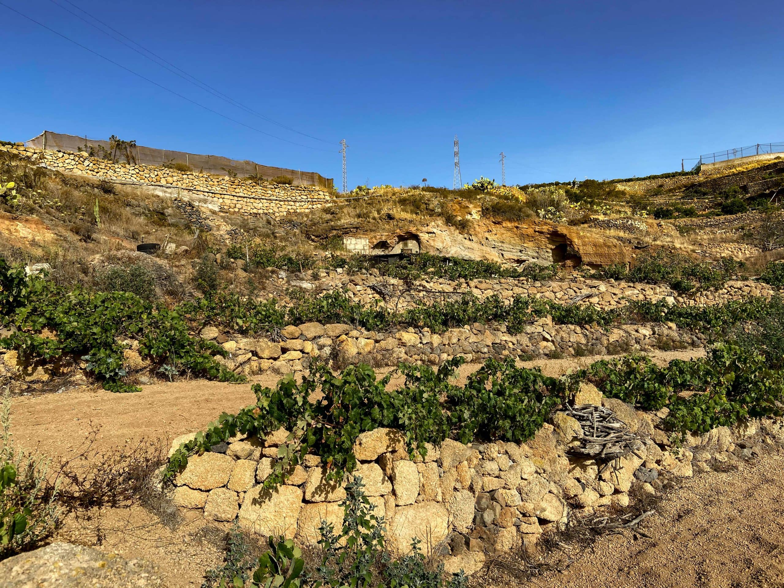 terrassierte Felder am Wanderweg