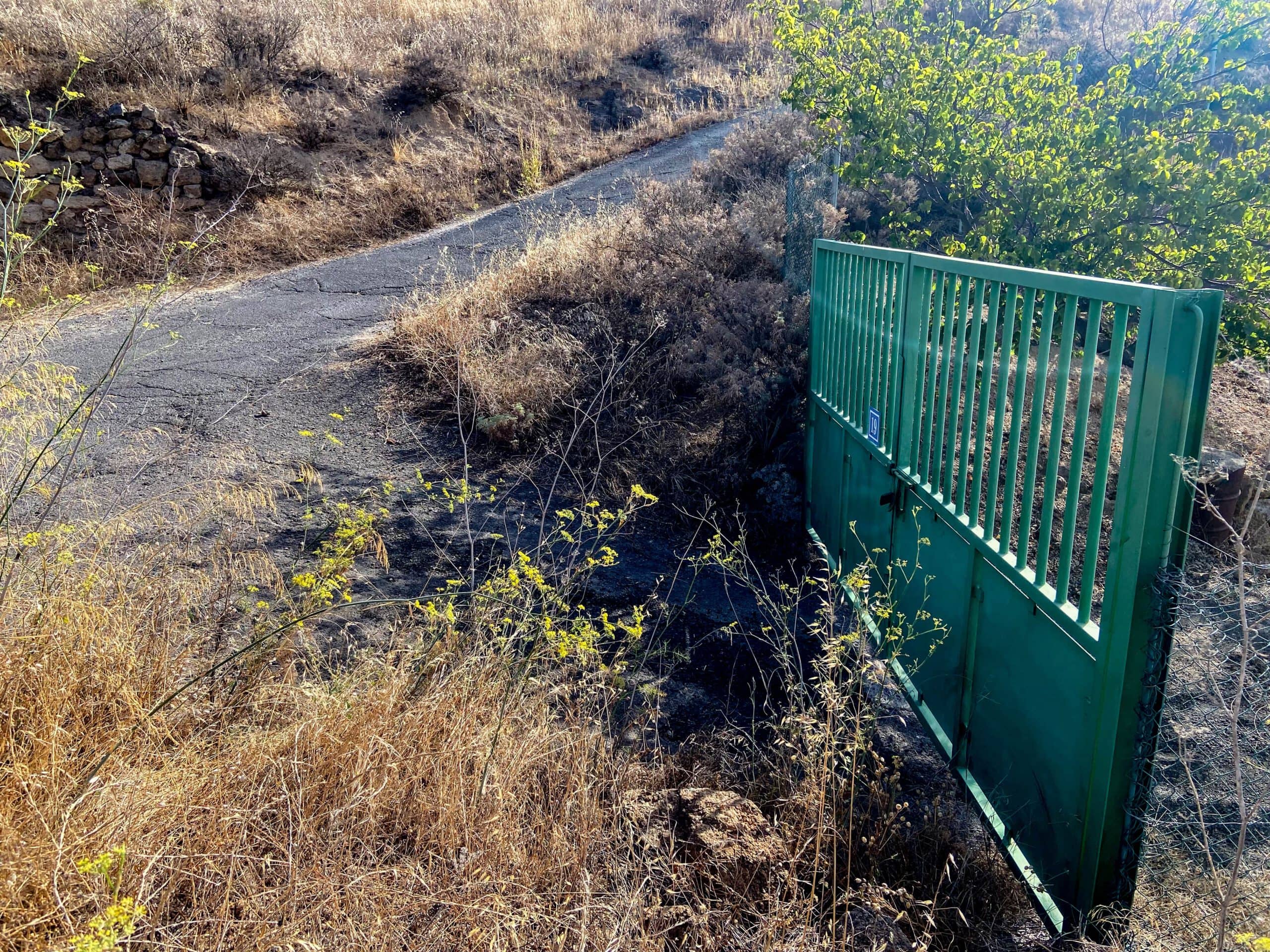 at this green gate starts the hiking trail that leads you away from the road - a bit overgrown and hard to find