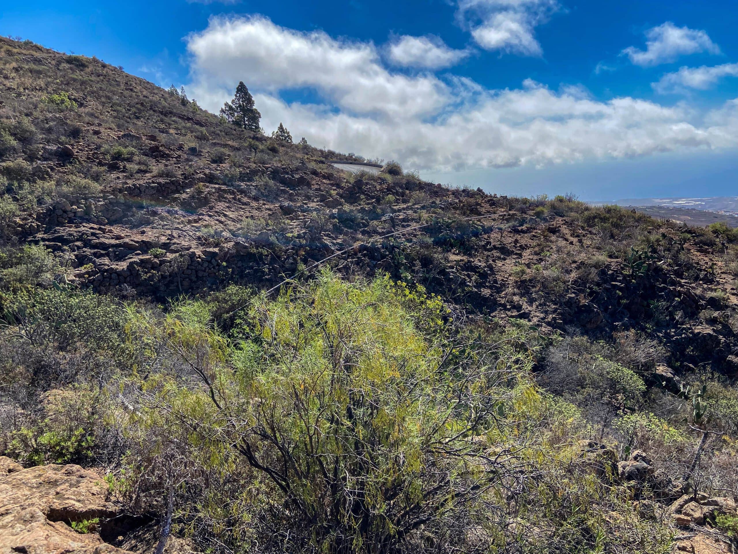 Hiking trail through a side gorge over rocks and small paths