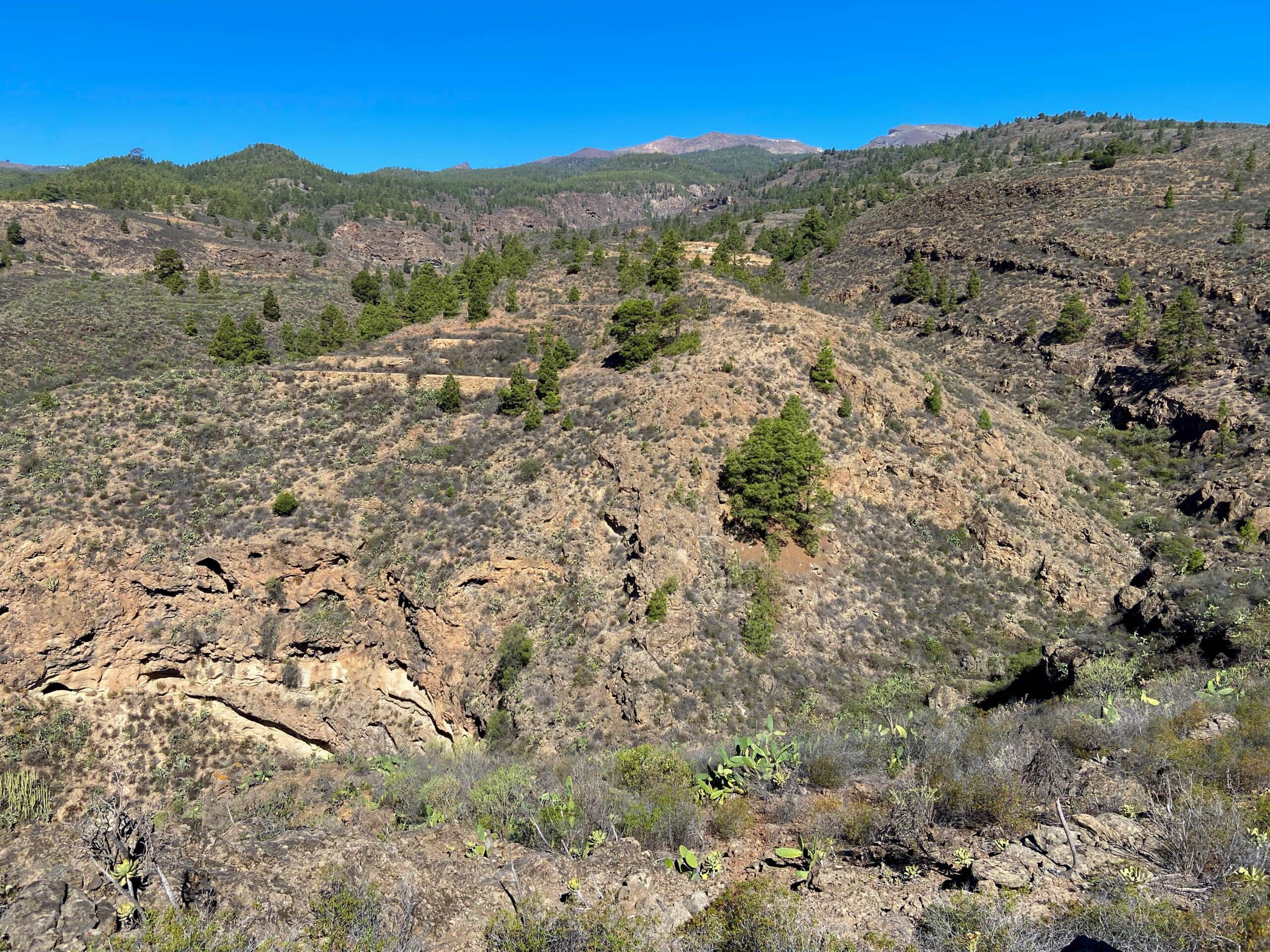 Blick vom Wanderweg zu den Cañadas und auf den Barranco El Río