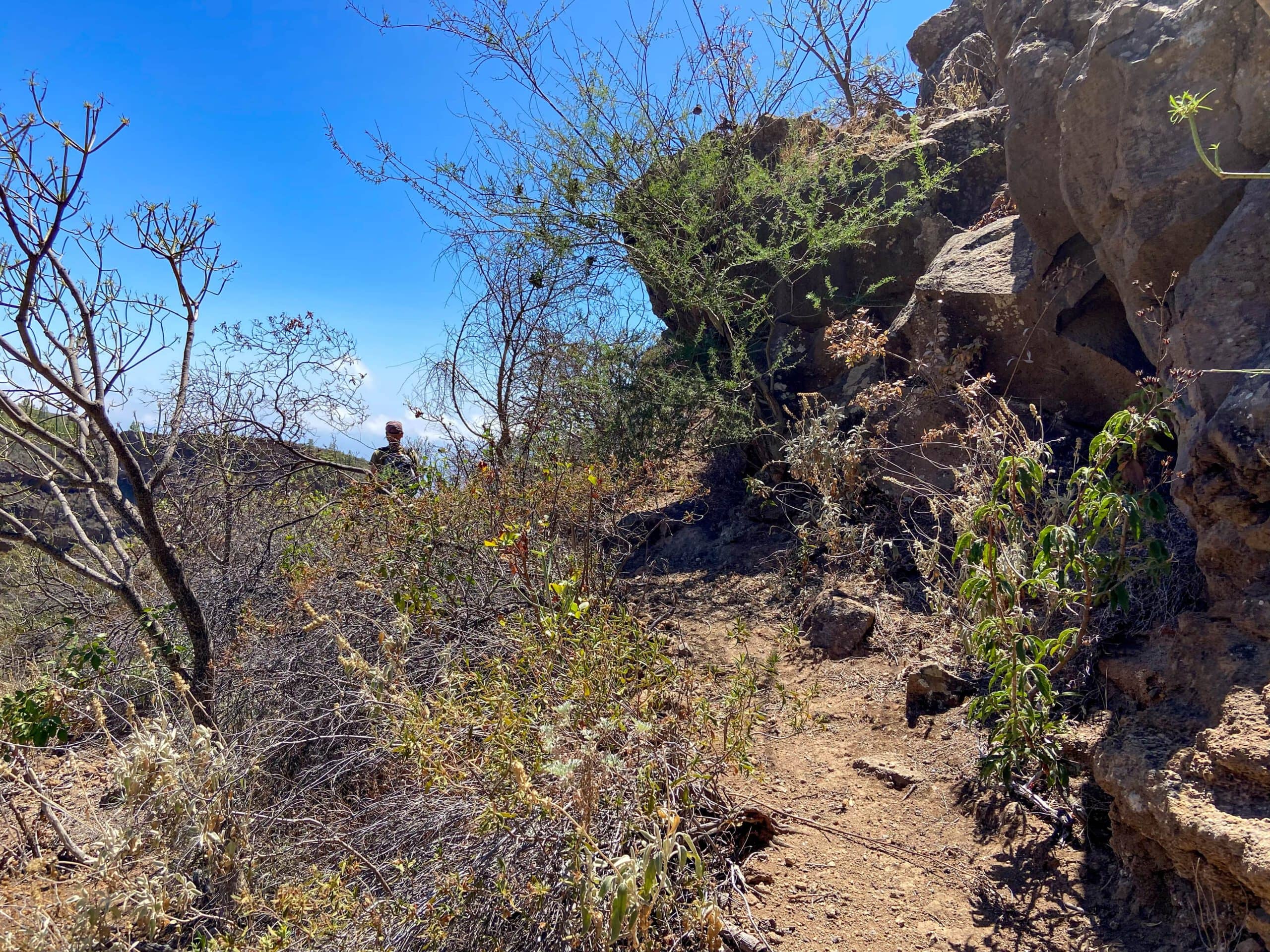 Ascent path Barranco El Río