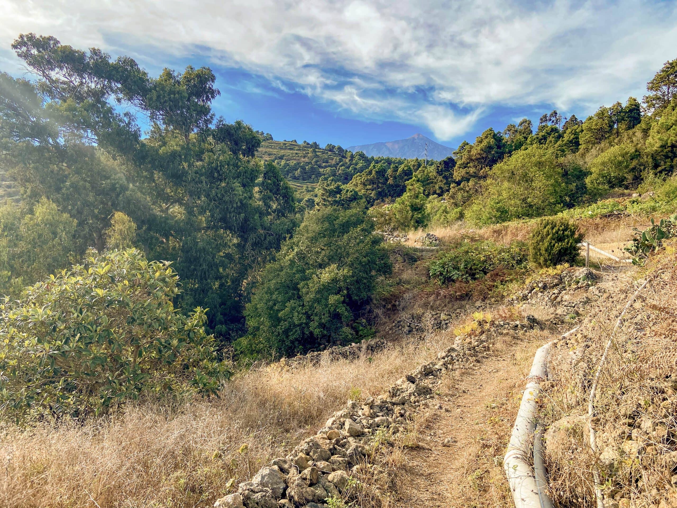 Hiking trail over La Guancha with Teide view