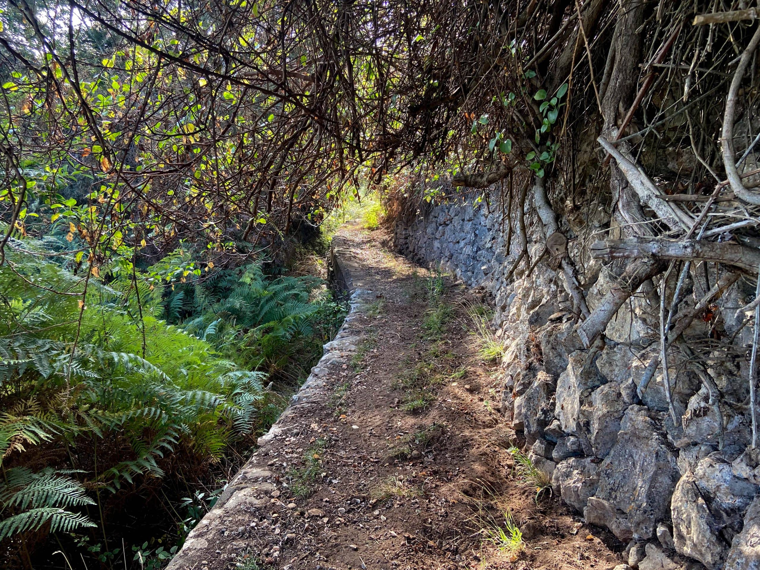 Sendero Ruta del Agua