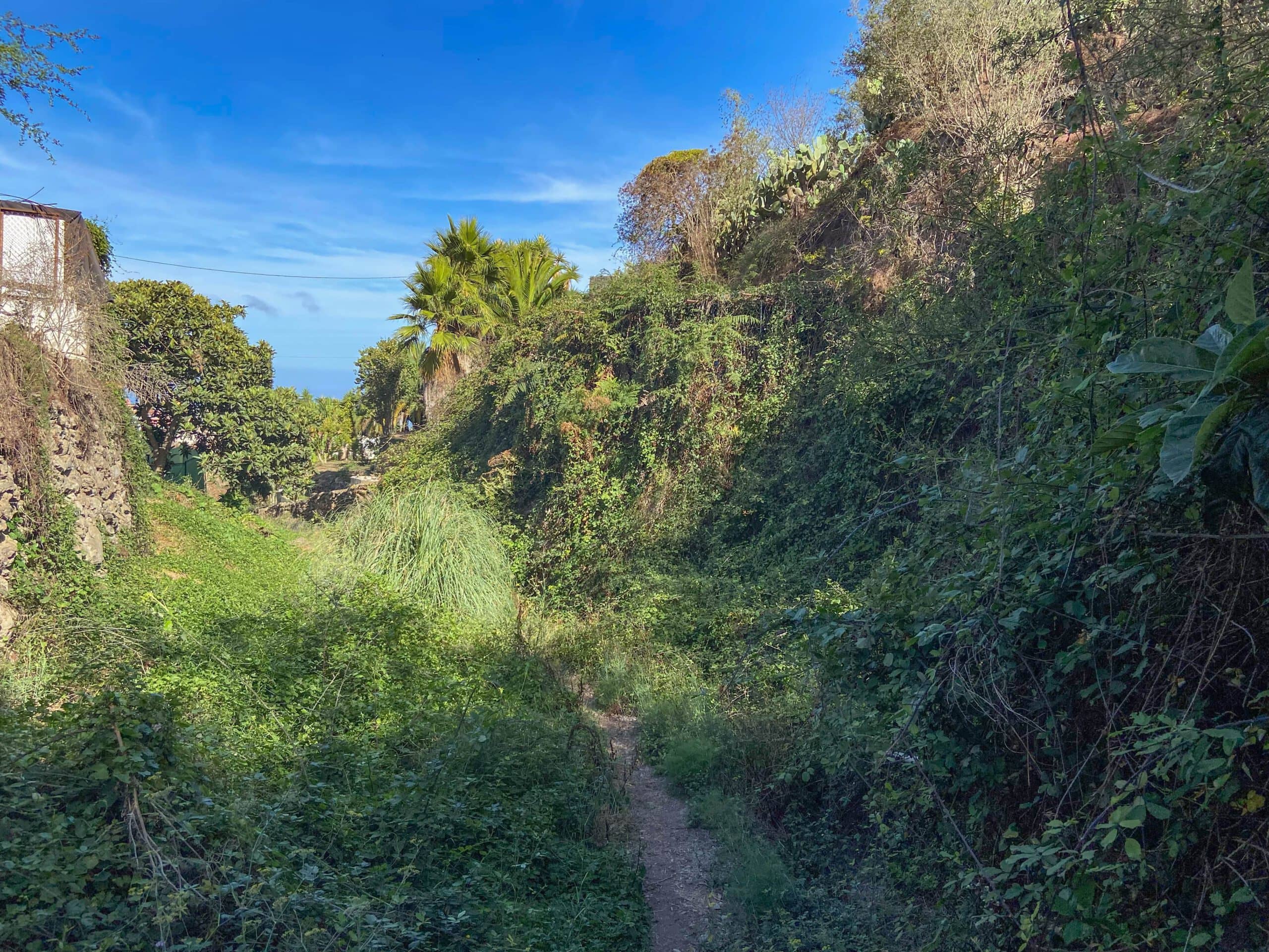 Wanderweg nahe La Guancha - Ruta del Agua