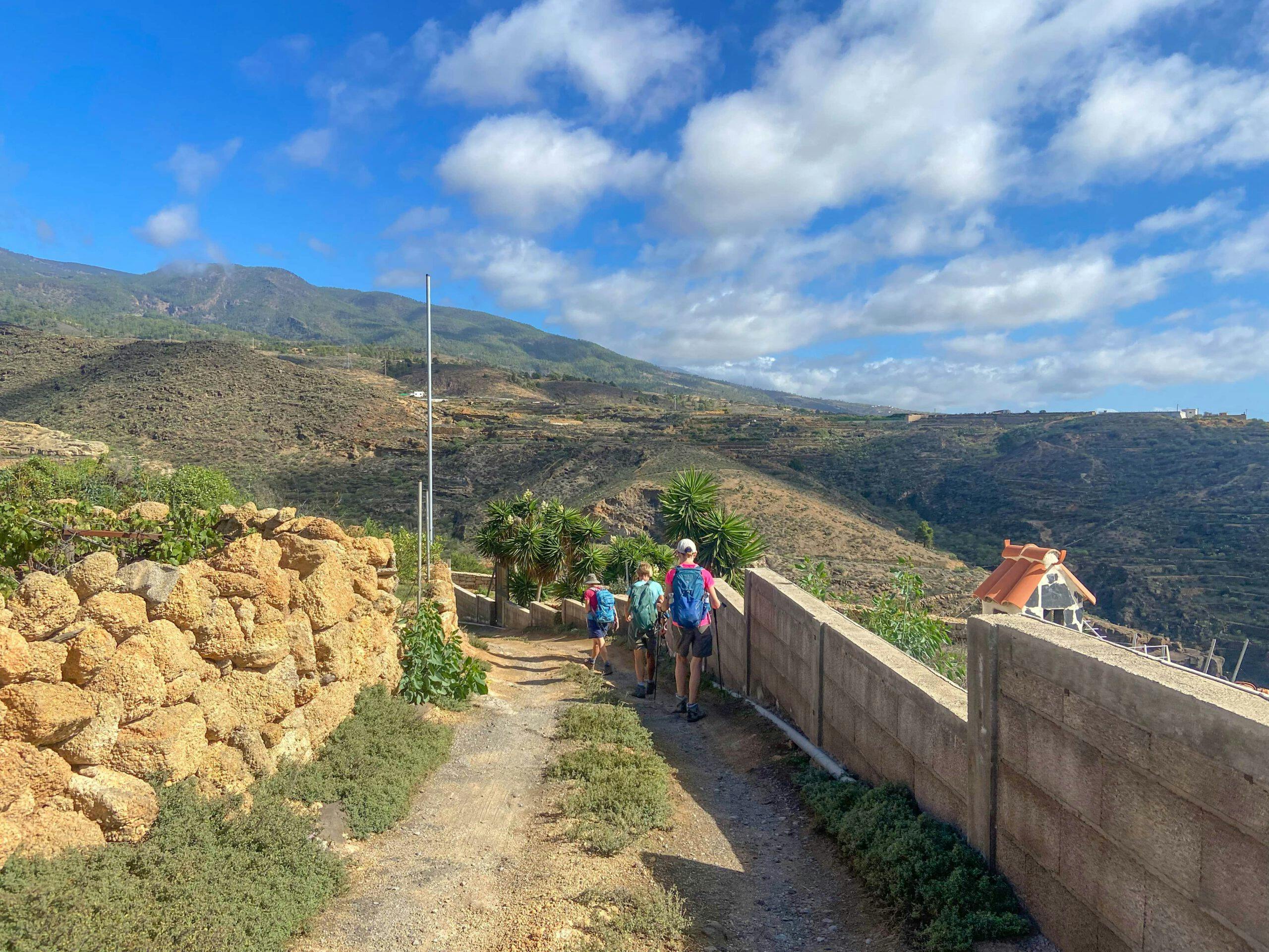 Camino Real del Sur – Tranquil circular walk on the east side of Tenerife