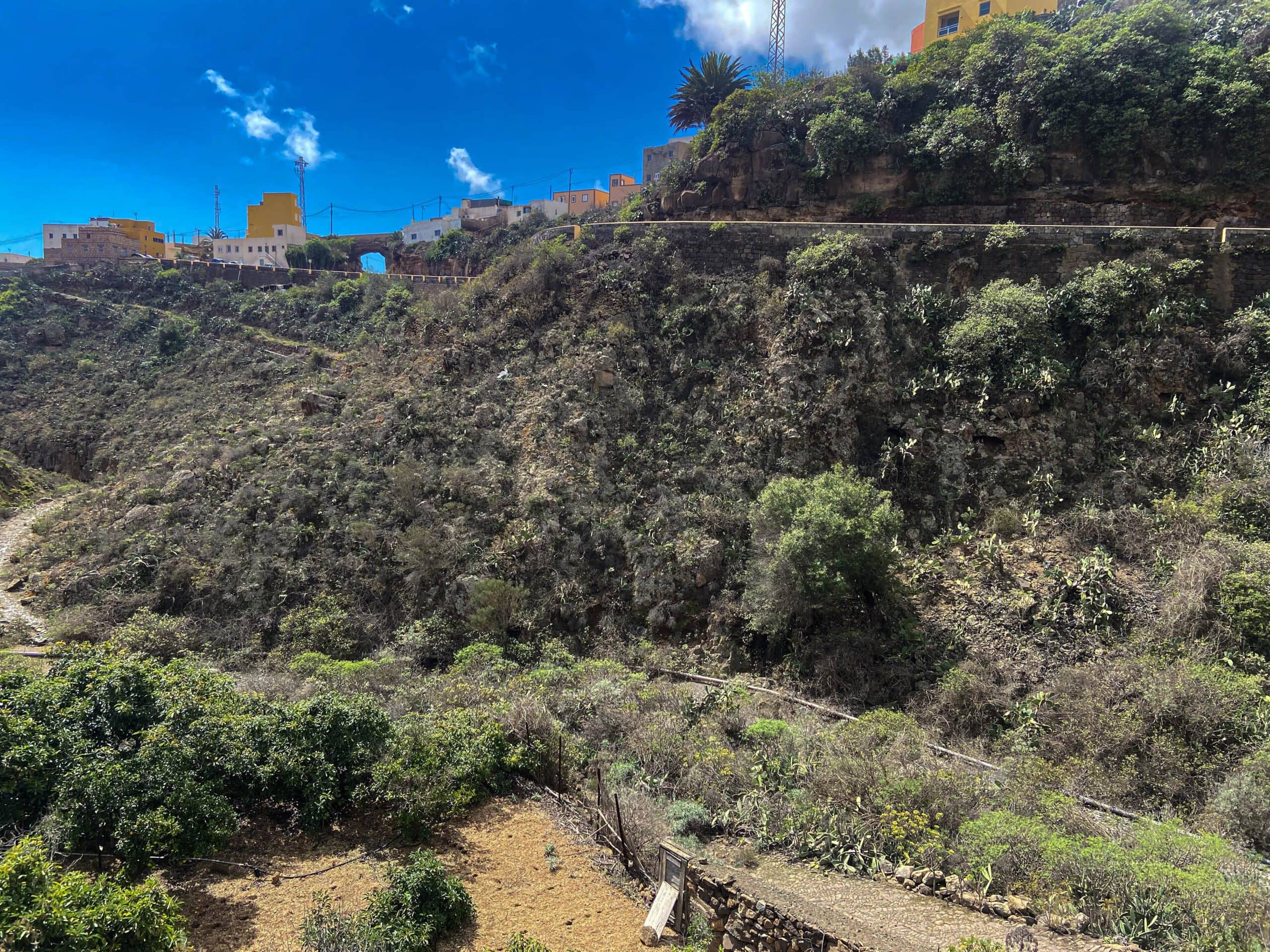 Camino Real del Sur hinter Villa de Arico und kurz vor Cisnera