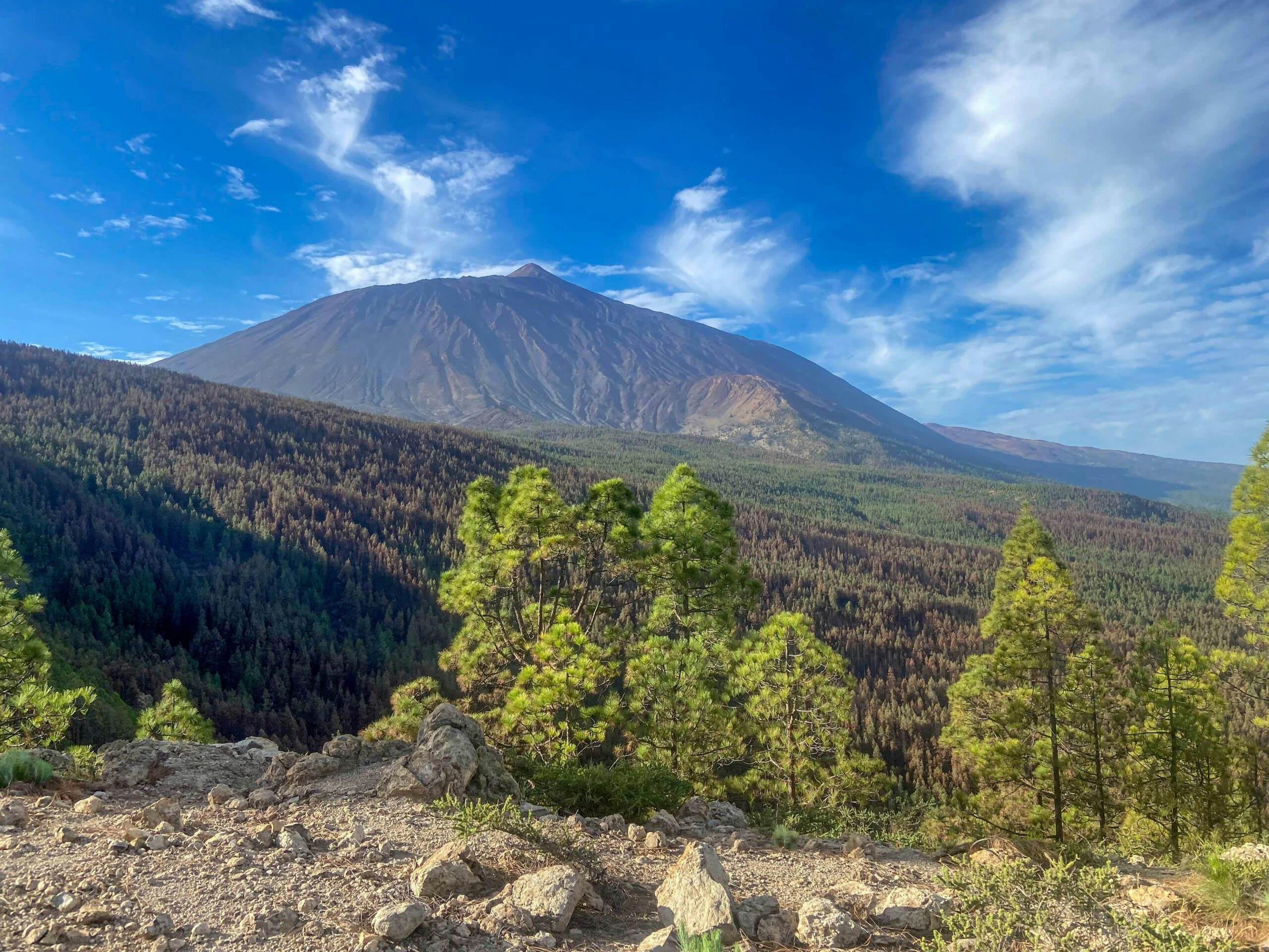 View during the ascent of the Teide