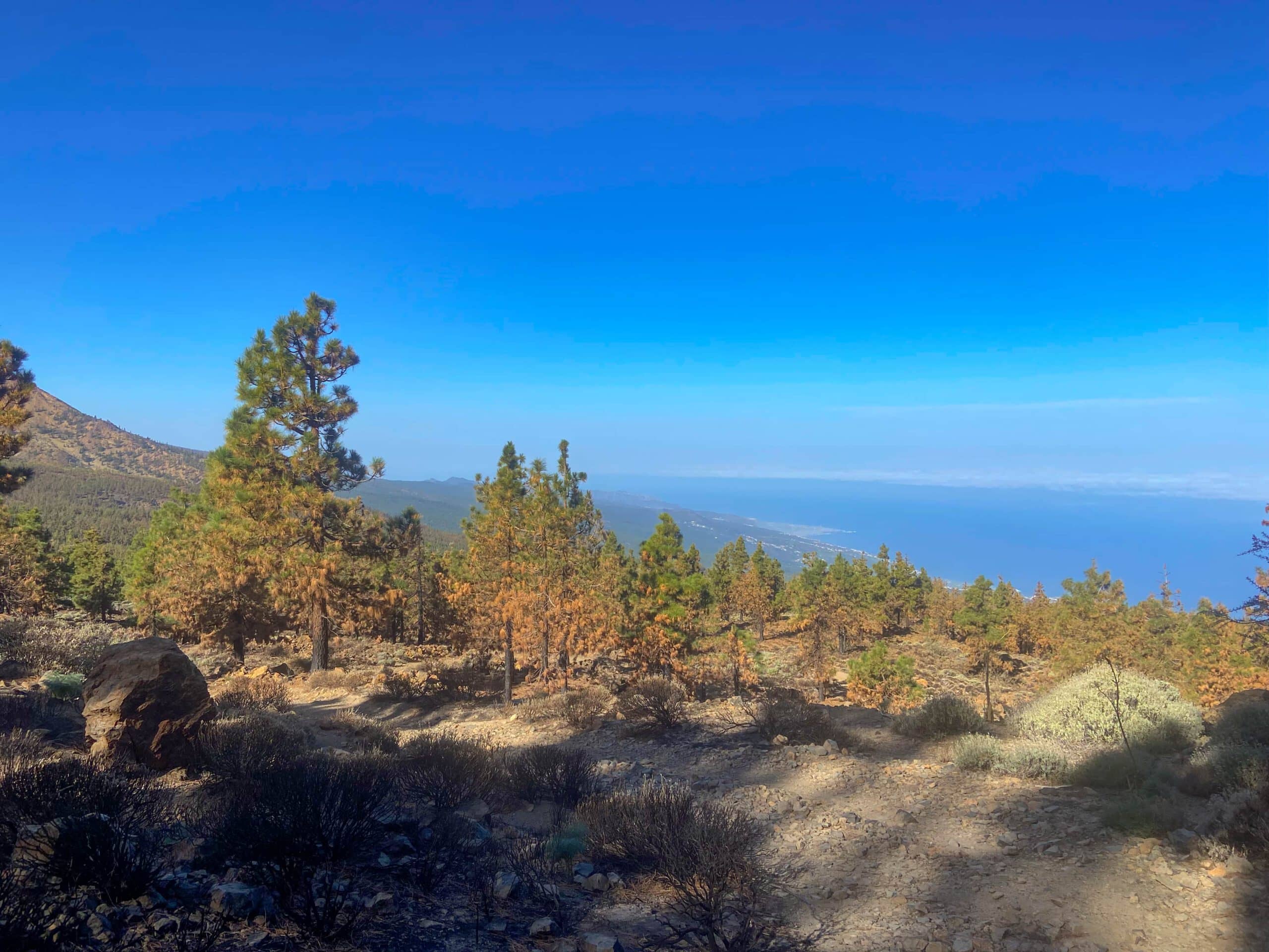 Vista desde la subida hasta la costa