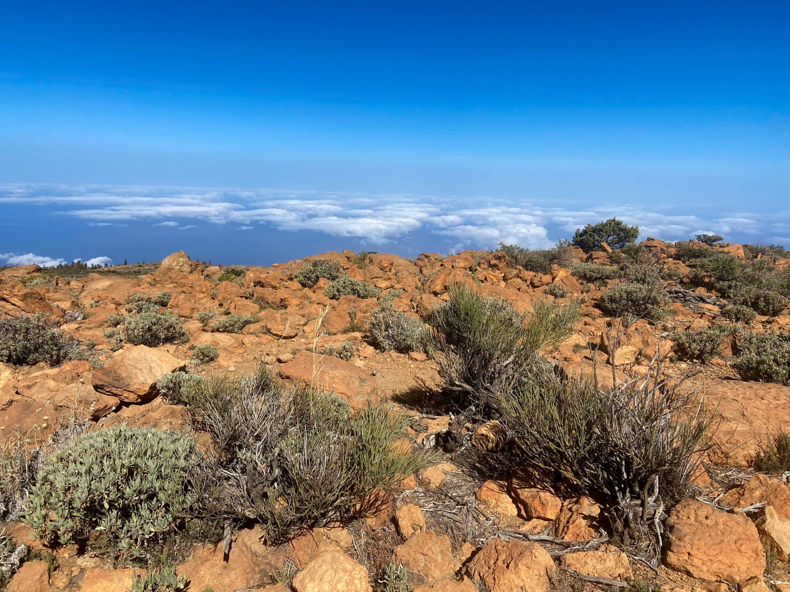 auf dem Gipfel der Fortaleza über den Wolken