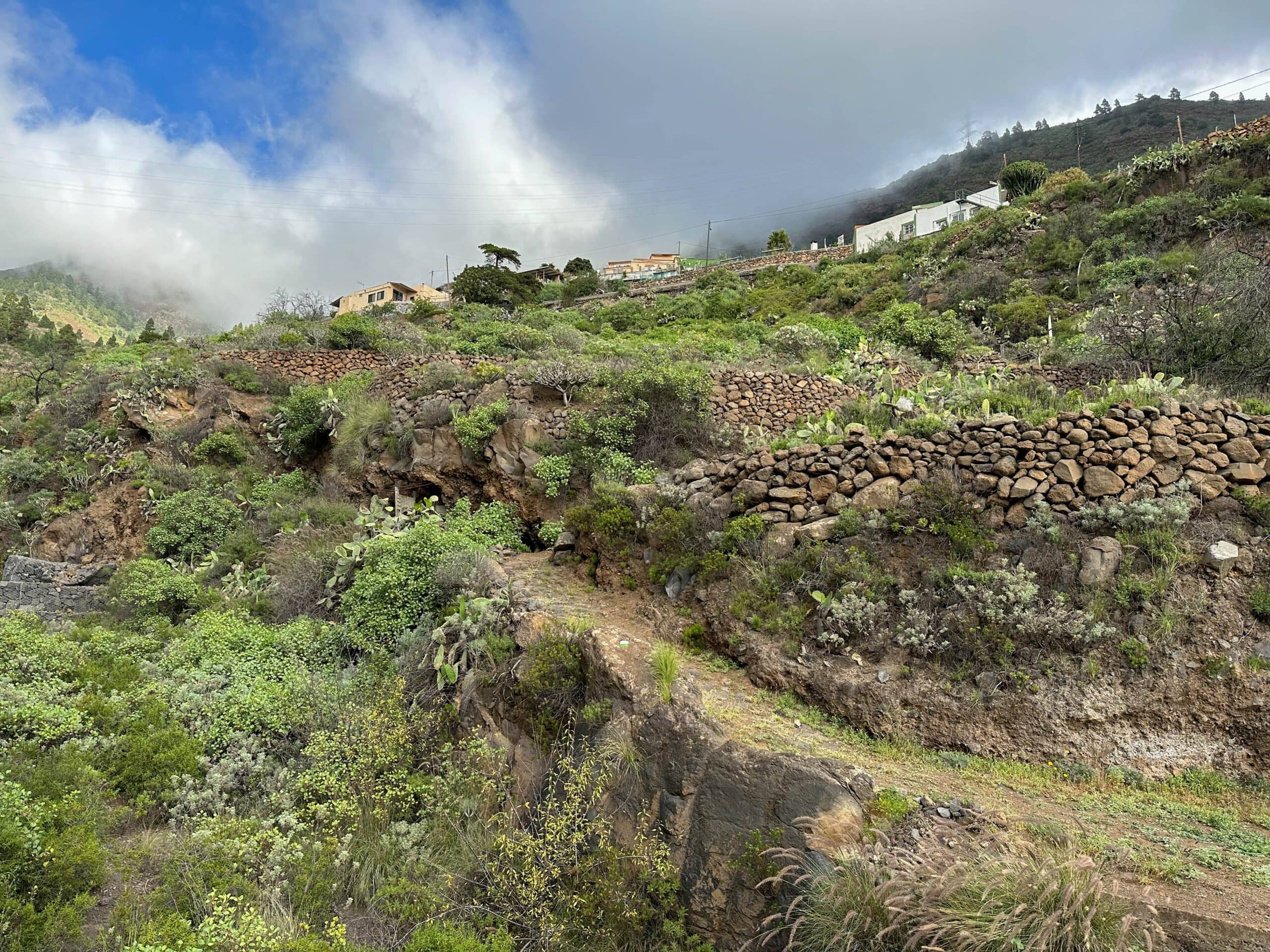 Hiking trail - start at the bottom of the road