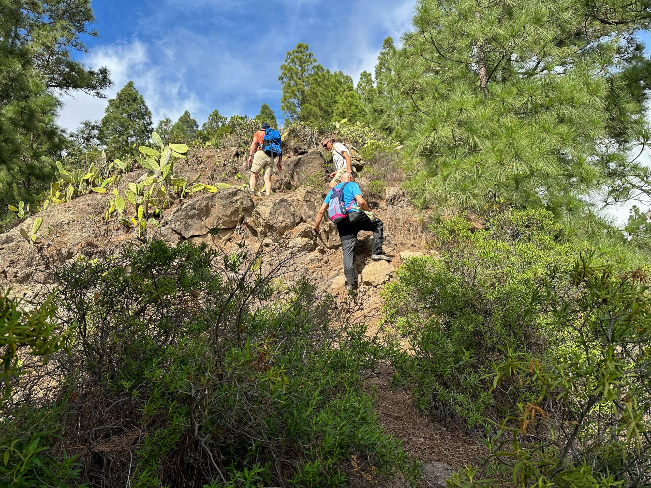 Hikers on the Way - Pico Igonse