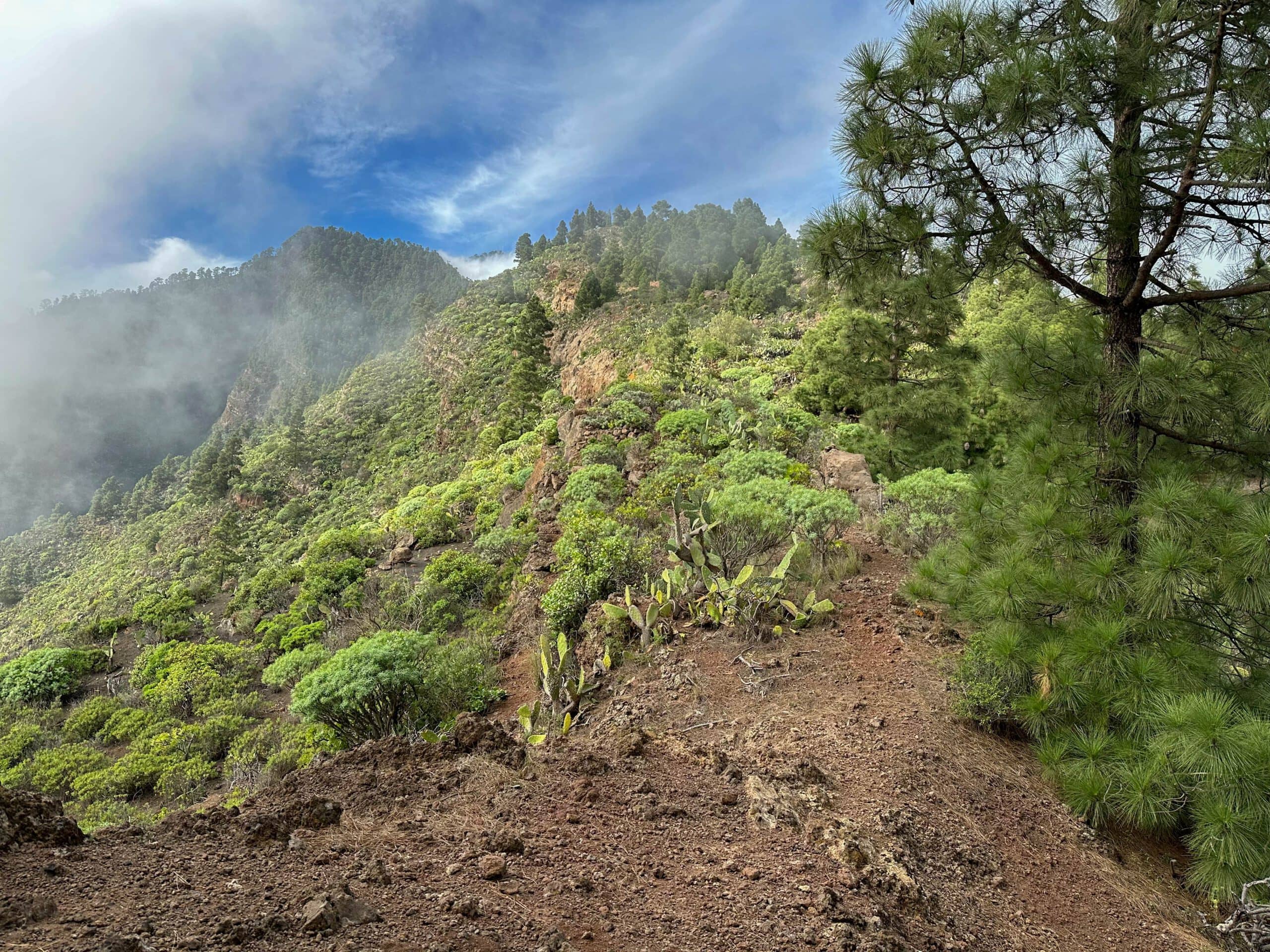 Descent path from Pico Igonse already further down near the power poles and La Mesa