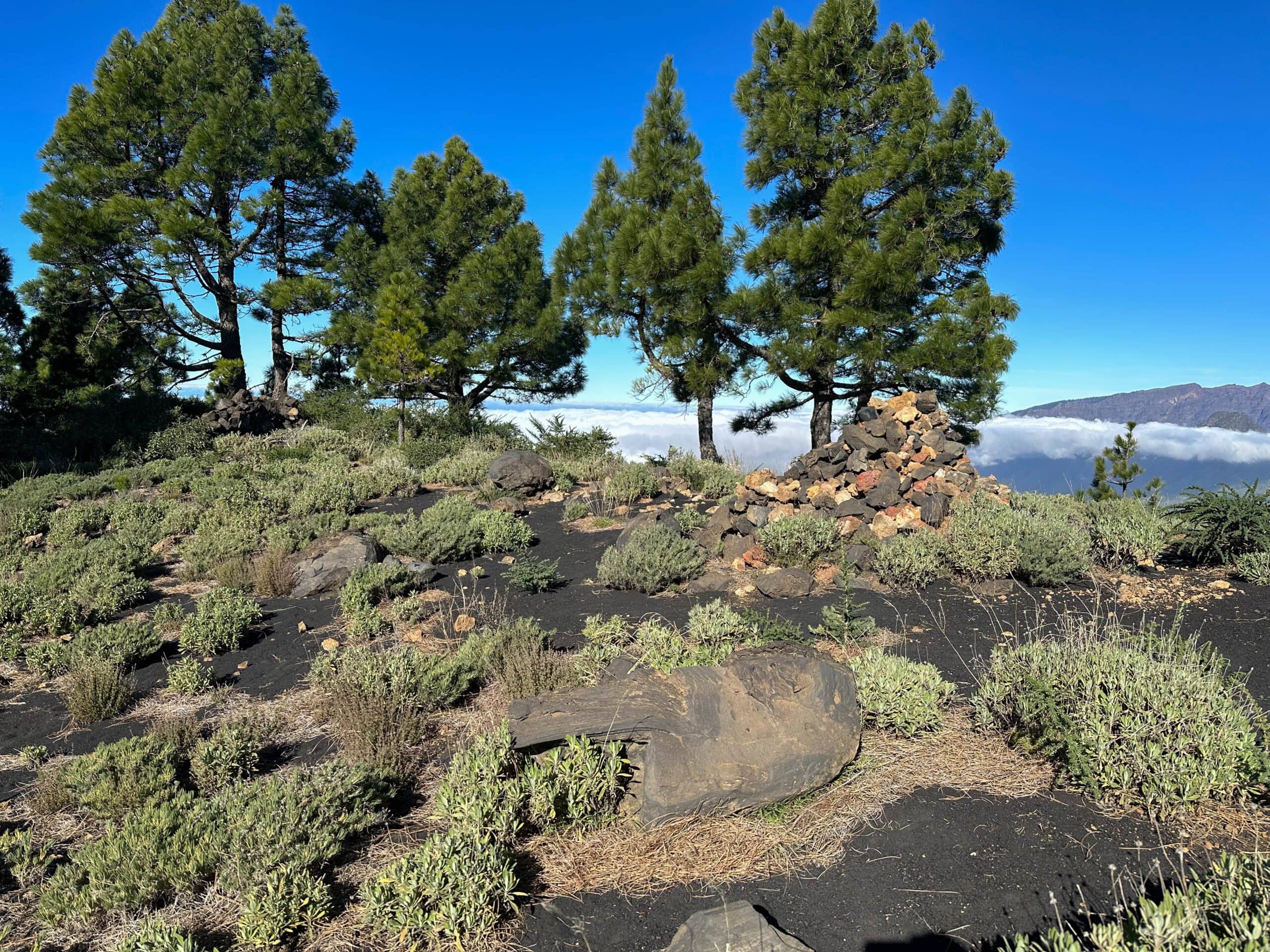 Sendero de cresta Montaña la Barquita 1809 metros de desnivel