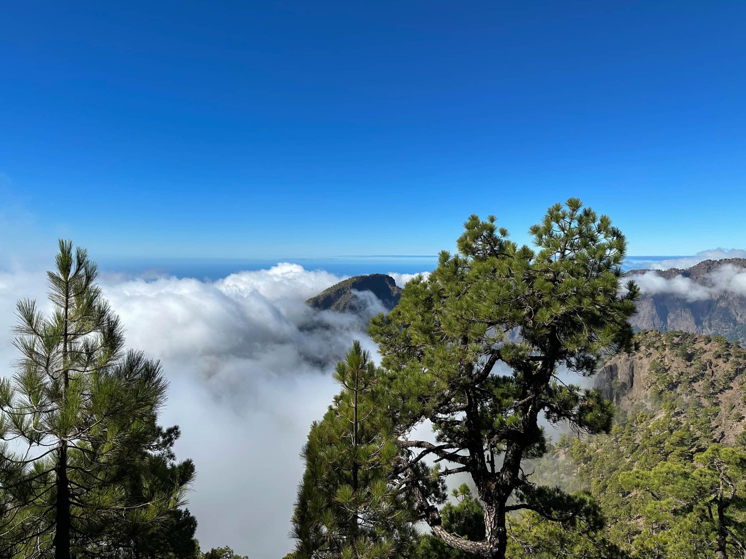 Wandern über Wolken - Pico Bejenado Gipfel schaut aus den Wolken