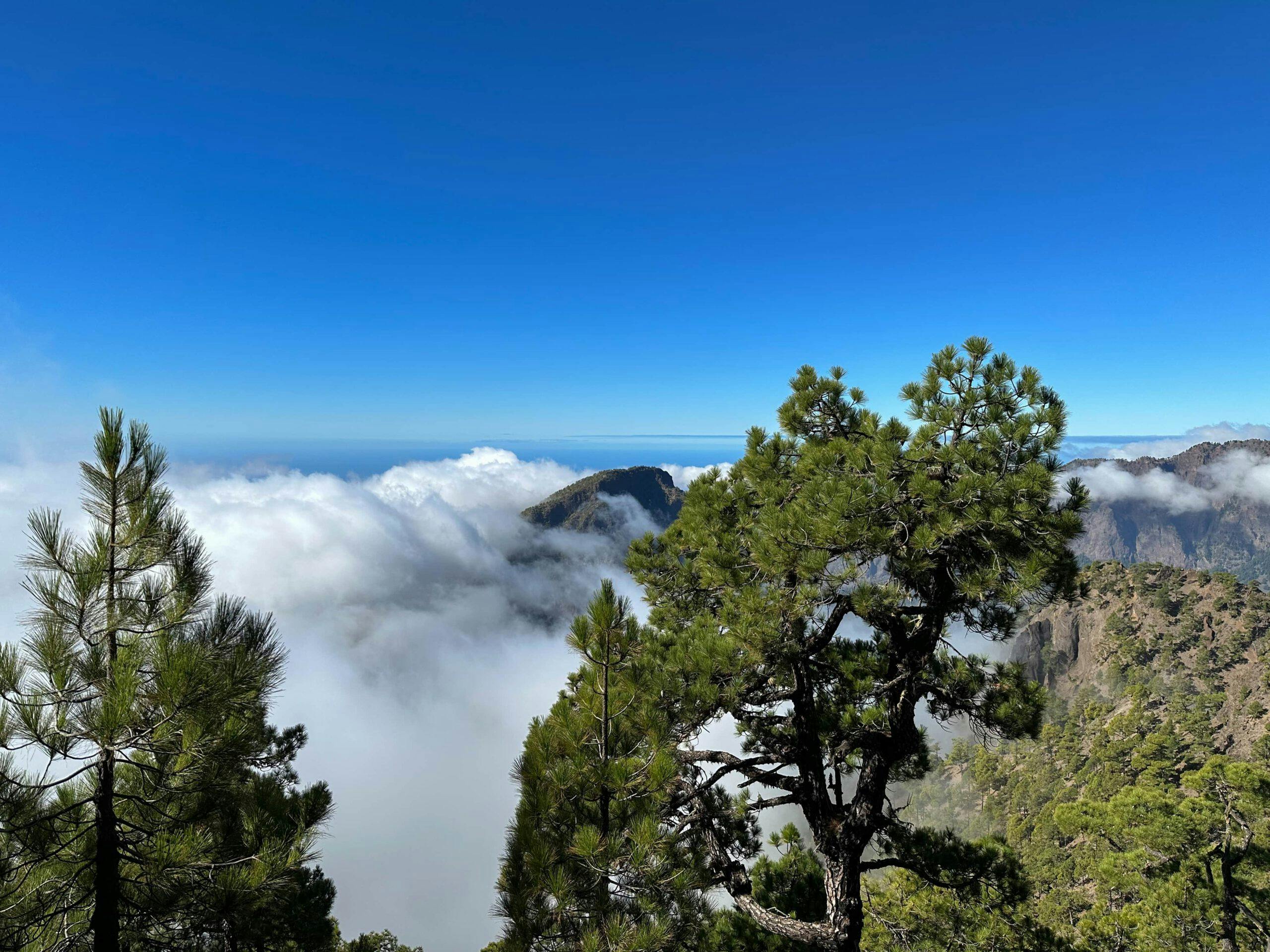 Punta de Los Roques – Impresionante excursión desde El Paso al Pico de la Nieve