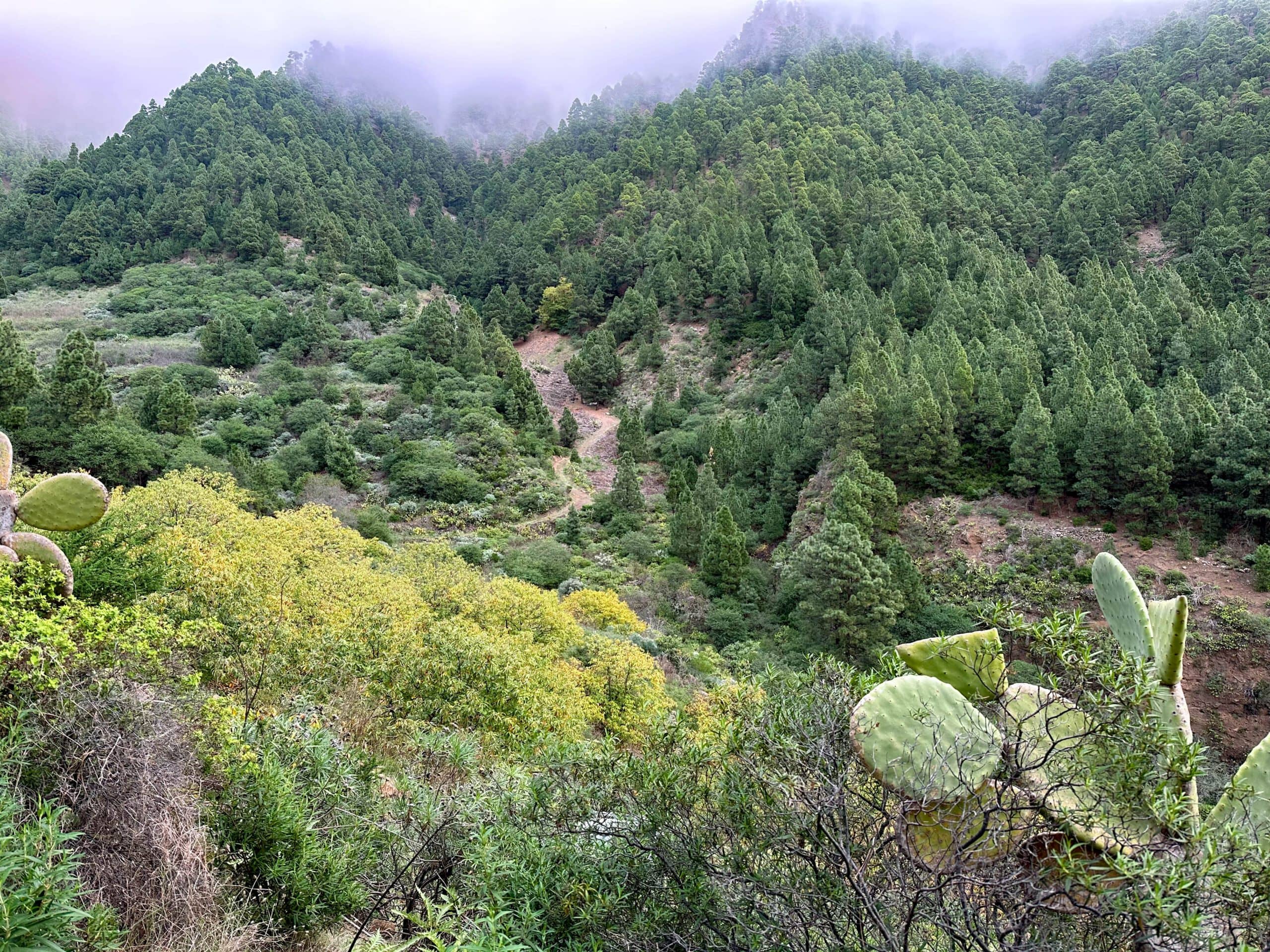 Crossing Barranco los Chupaderos below Pico Igonse with hiking trail