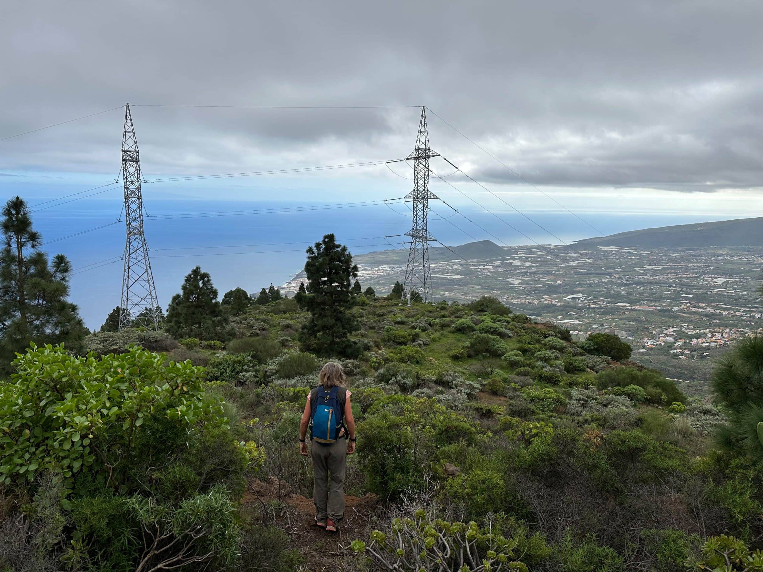 Last section on the ridge trail down to the power poles above Araya - there the descent trail joins the regular hiking trail SL TF-296.