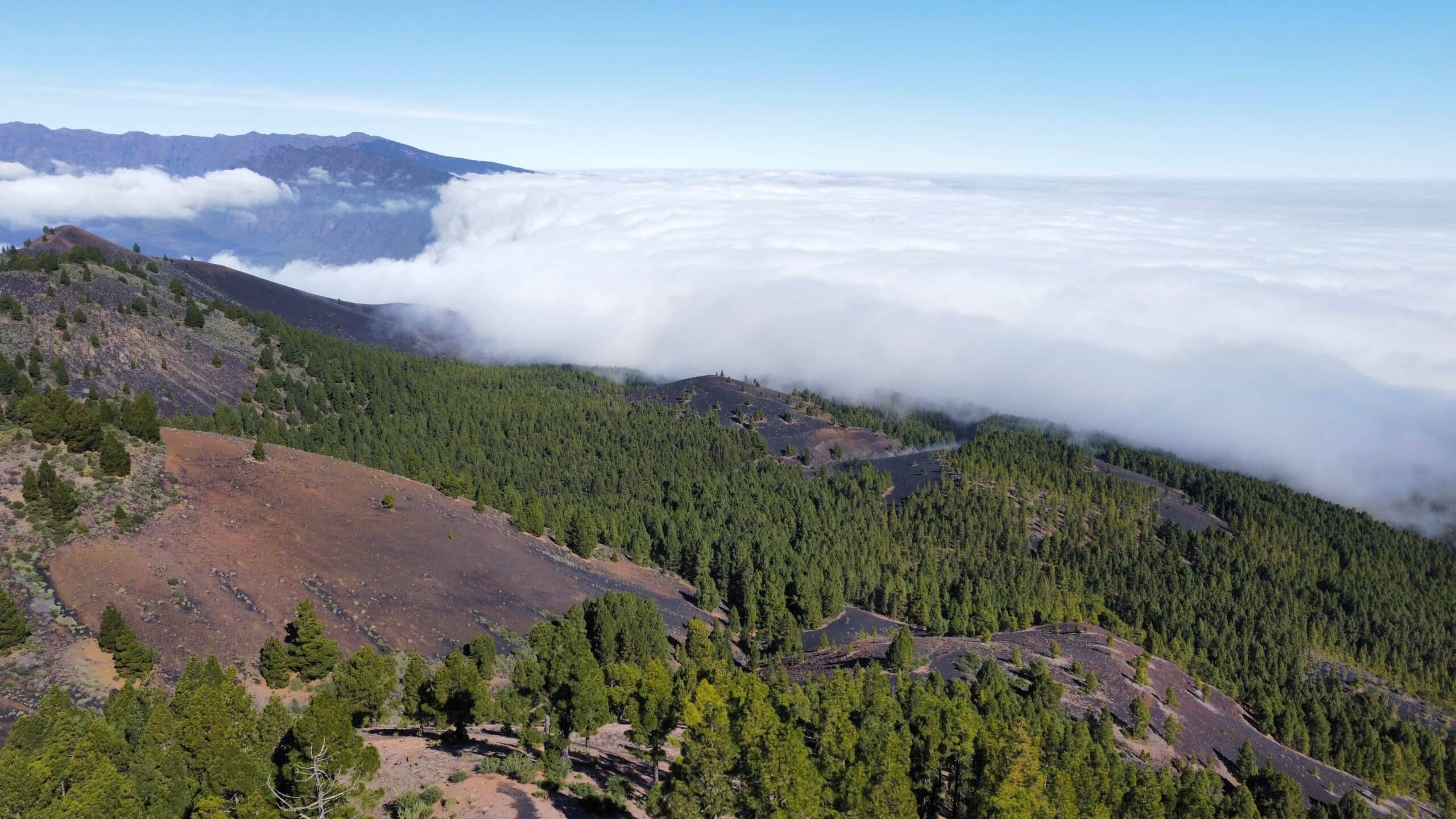 Vista de los bosques y volcanes que rodean El Pilar