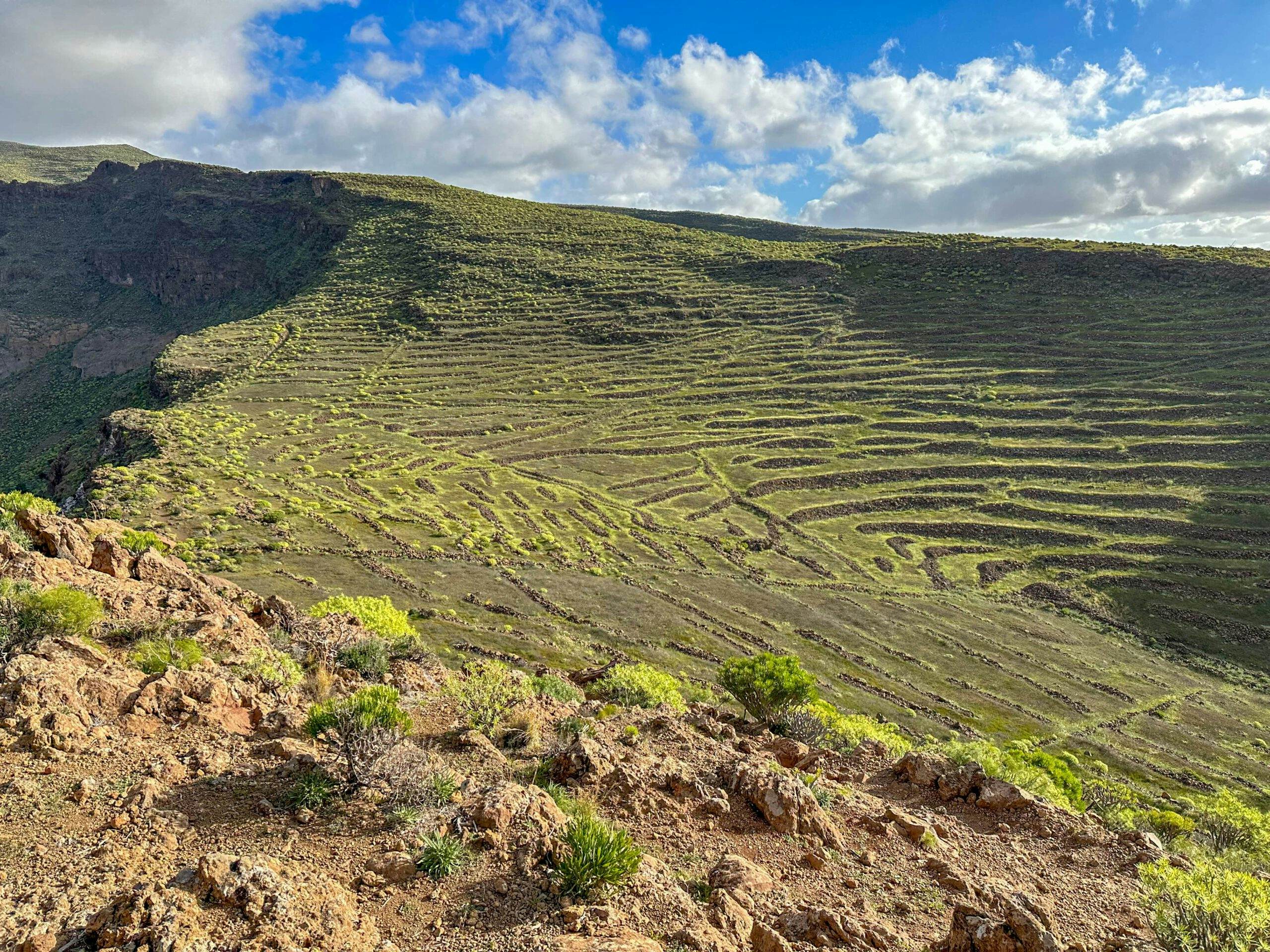 View of green terraces on the hiking trail behind the Curz del Siglo towards Cumbre