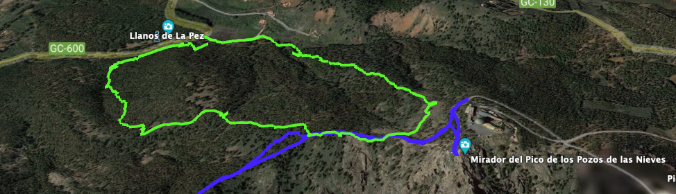 Variant Track: Small round trip from Llanos de la Pez to Pico de las Nieves (green)